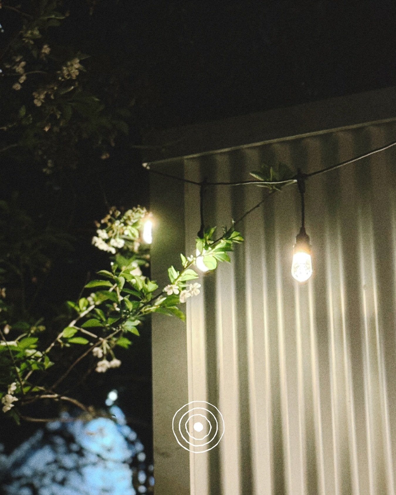 Back at it today, sauna on and currently sitting at 90 degrees. Cold plunge at 9 and dropping.

Bookings online - link in bio.