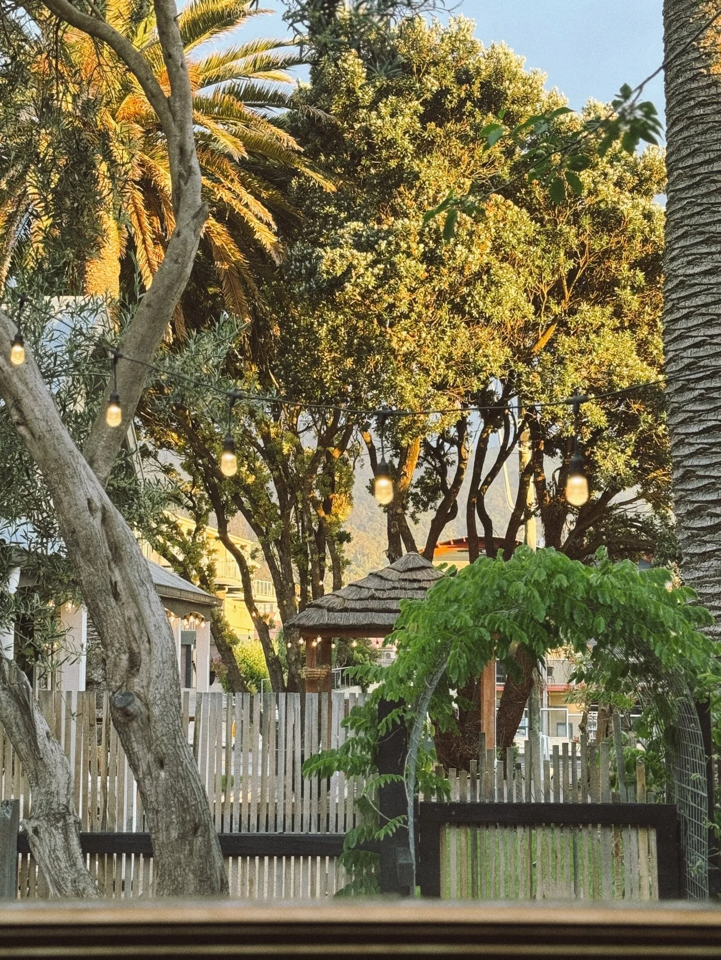 The morning view from our sauna bench&rsquo;s, overlooking @shelterapollobay 

Bookings available online.