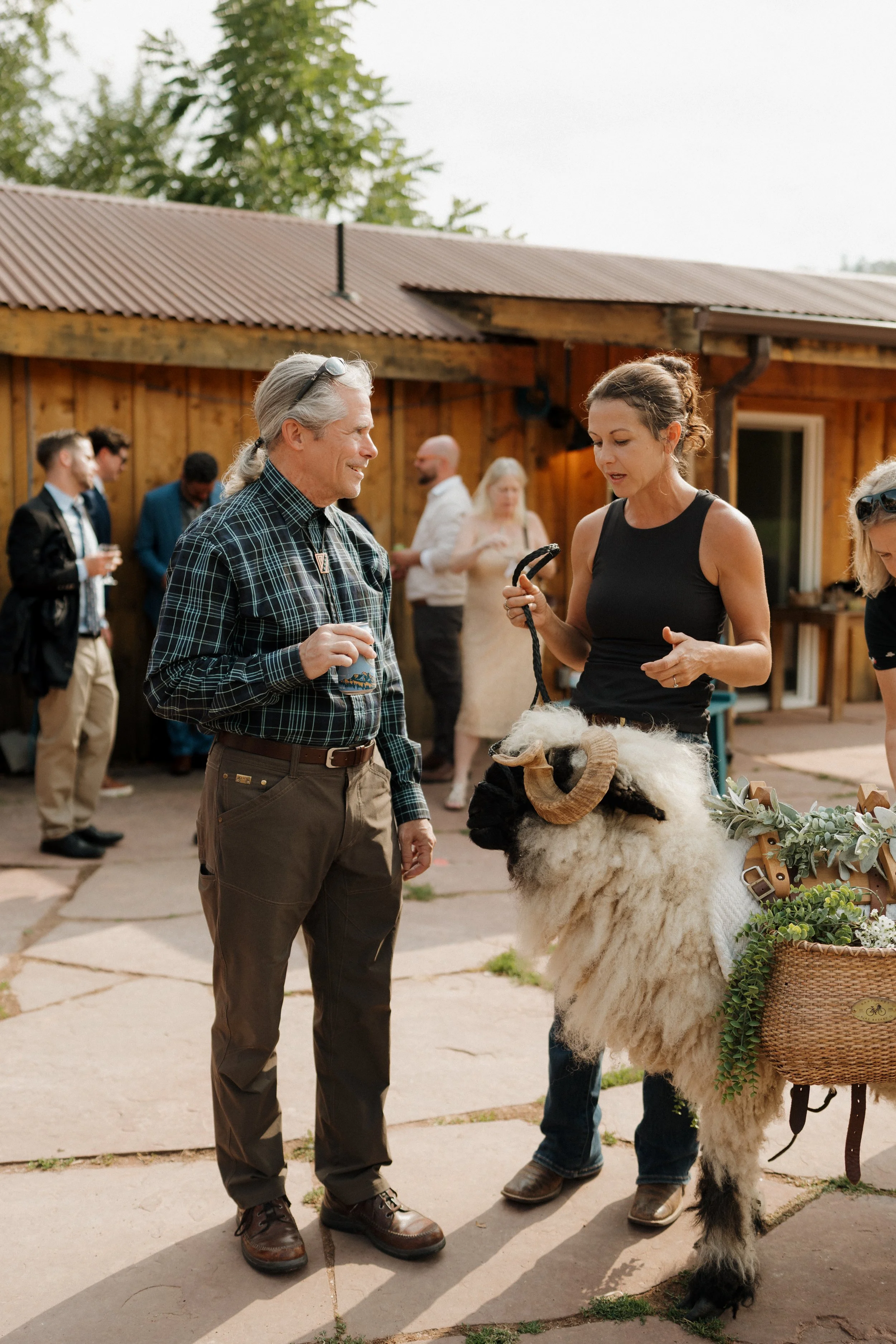 A woman showing a sheep with curly horns at an outdoor gathering, with people in the background, some holding drinks.