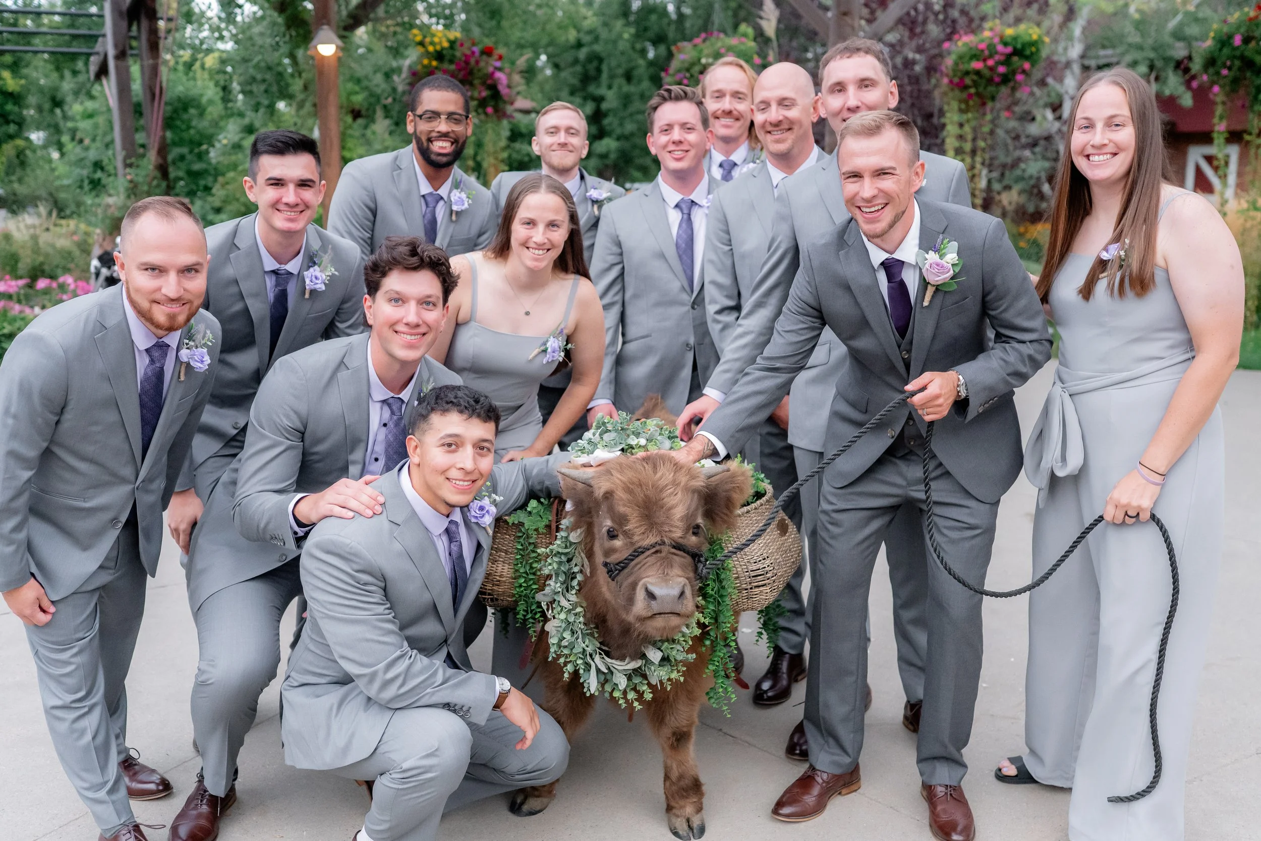 Wedding party with men in gray suits, women in gray dresses, and a small brown cow with a floral wreath around its neck, outside in a garden.