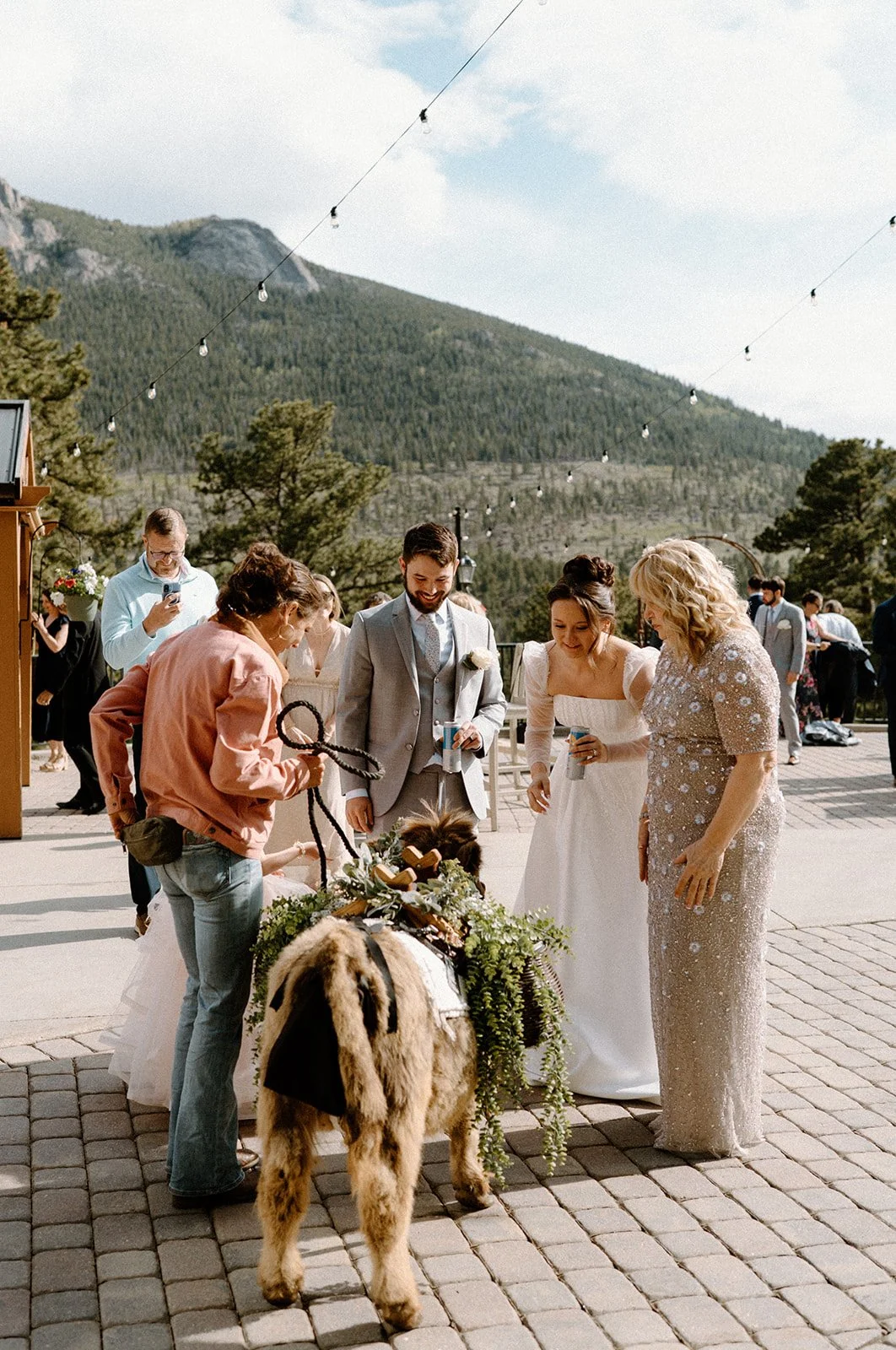 A wedding celebration outdoors with a bride, groom, and guests gathered around a decorated animal, possibly a llama or alpaca, adorned with flowers and greenery, with mountains and string lights in the background.