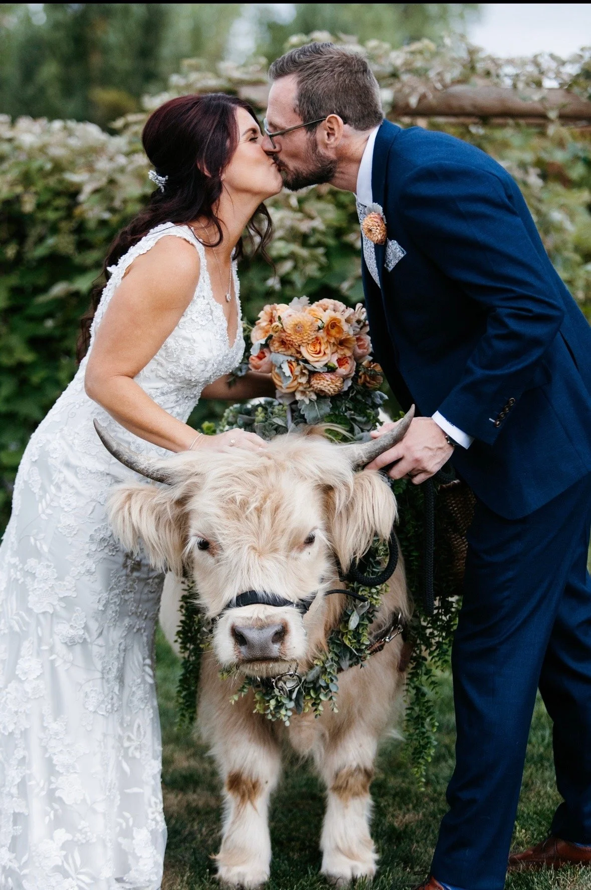A bride and groom kiss during a wedding ceremony outdoors, with a cow decorated with flowers between them.