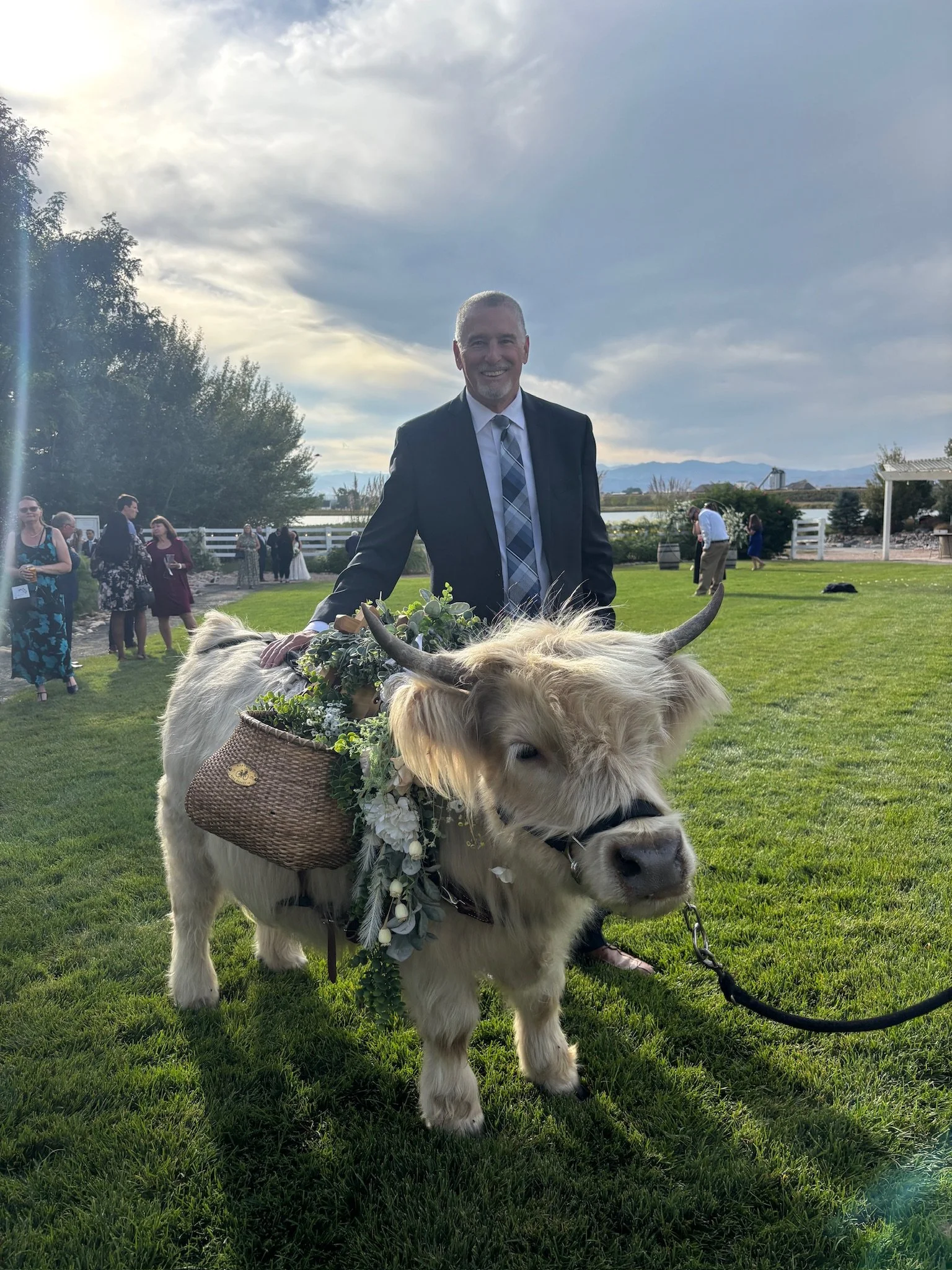 A smiling man in a suit and tie standing outdoors next to a decorated yak with flowers and a basket on its side at a gathering on a grassy field.
