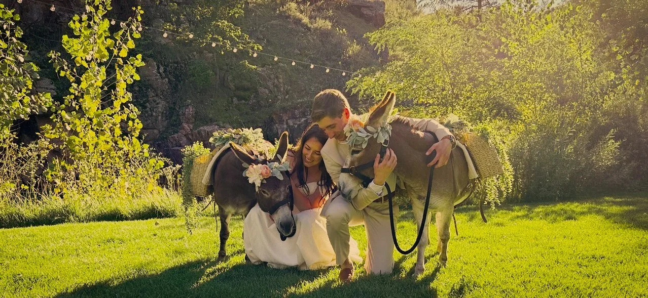 Hooved Essentials 101