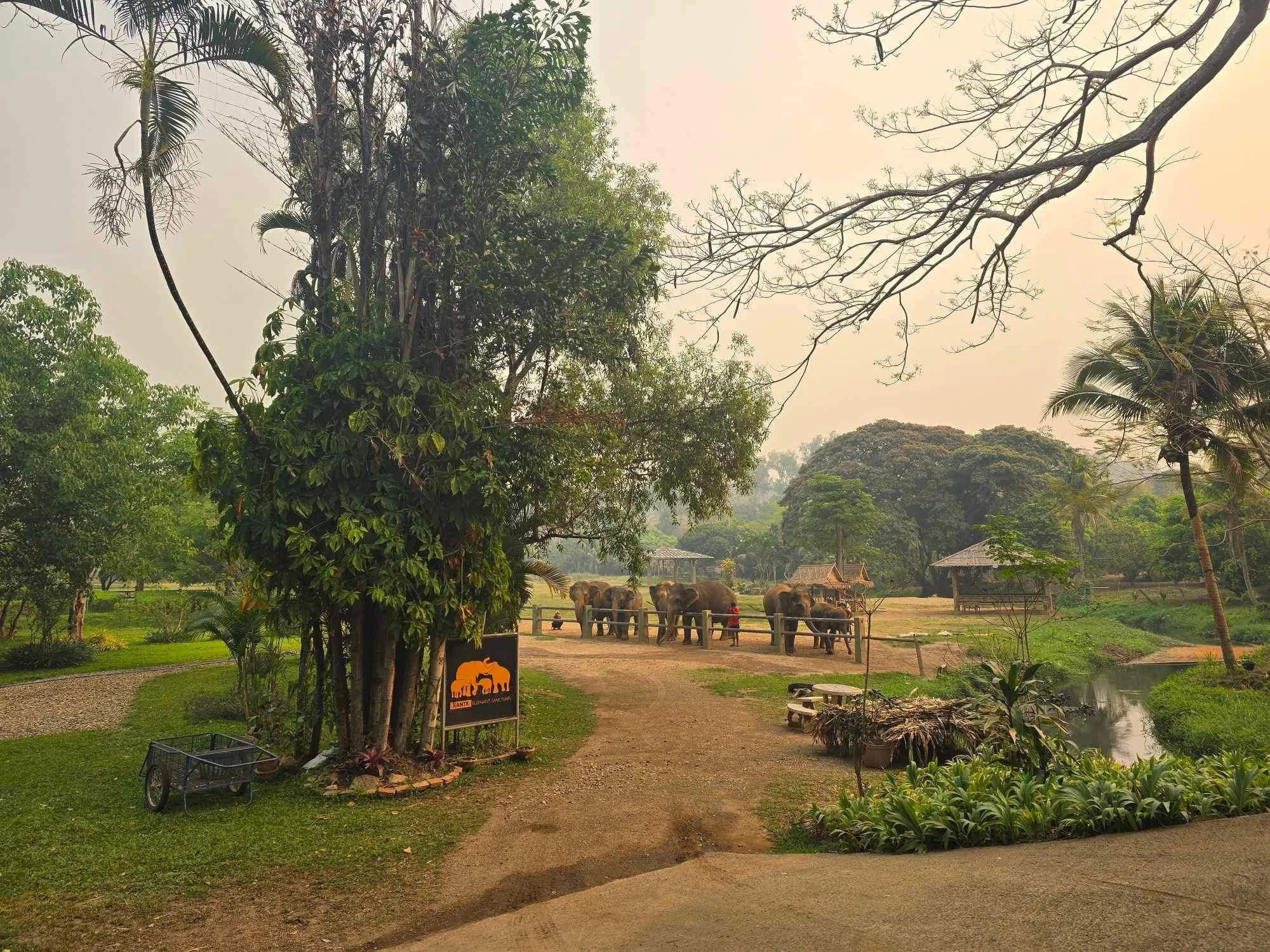 Kanta Elephant Sanctuary