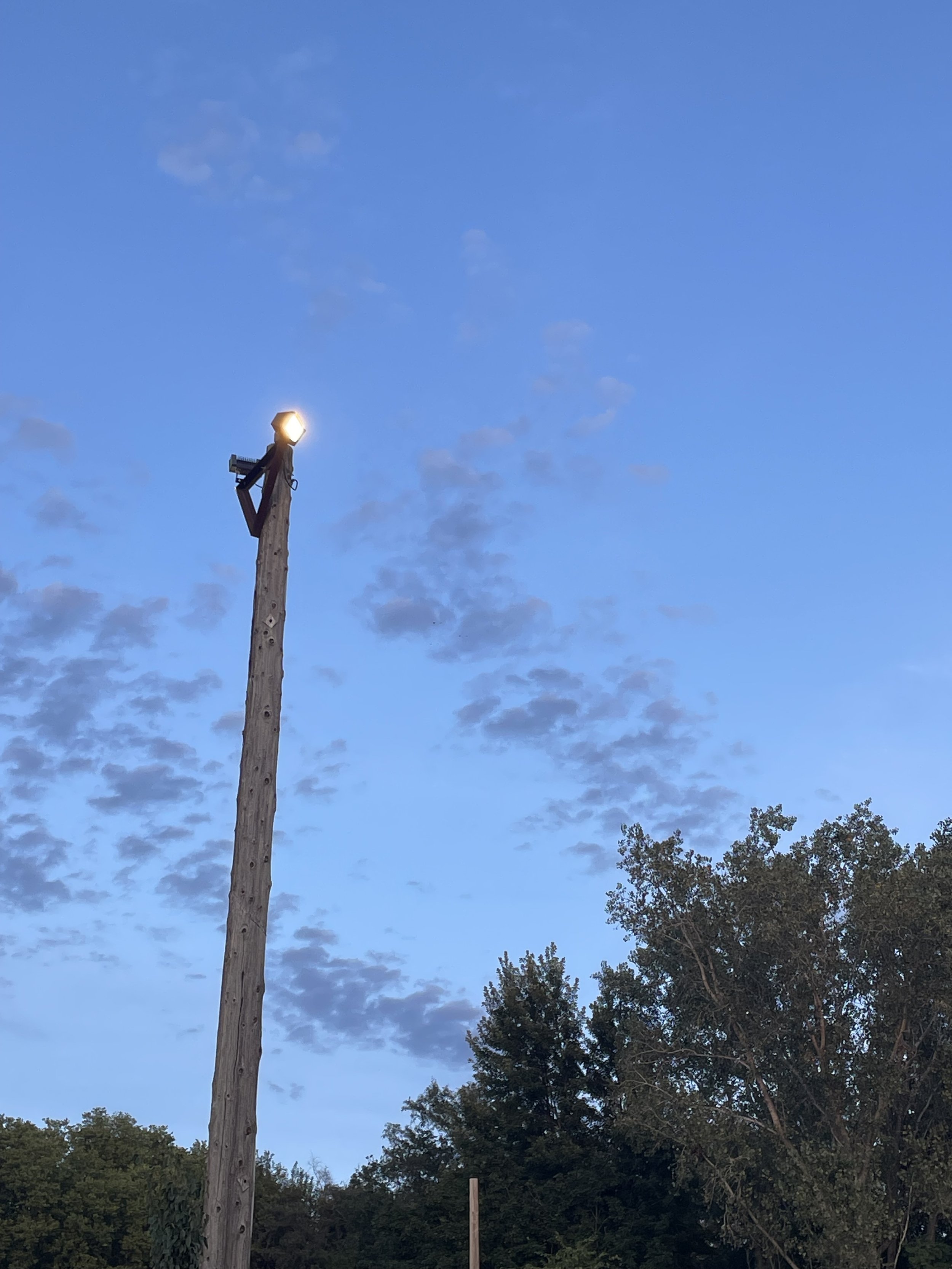 Picture of sky with trees and wooden light post.