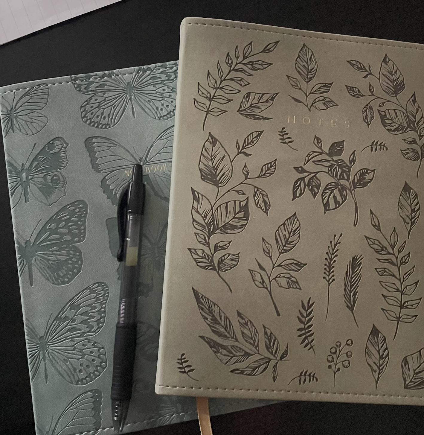Two journals half-stacked with a black pen. Journals are light navy blue with butterflies and green with leaves.