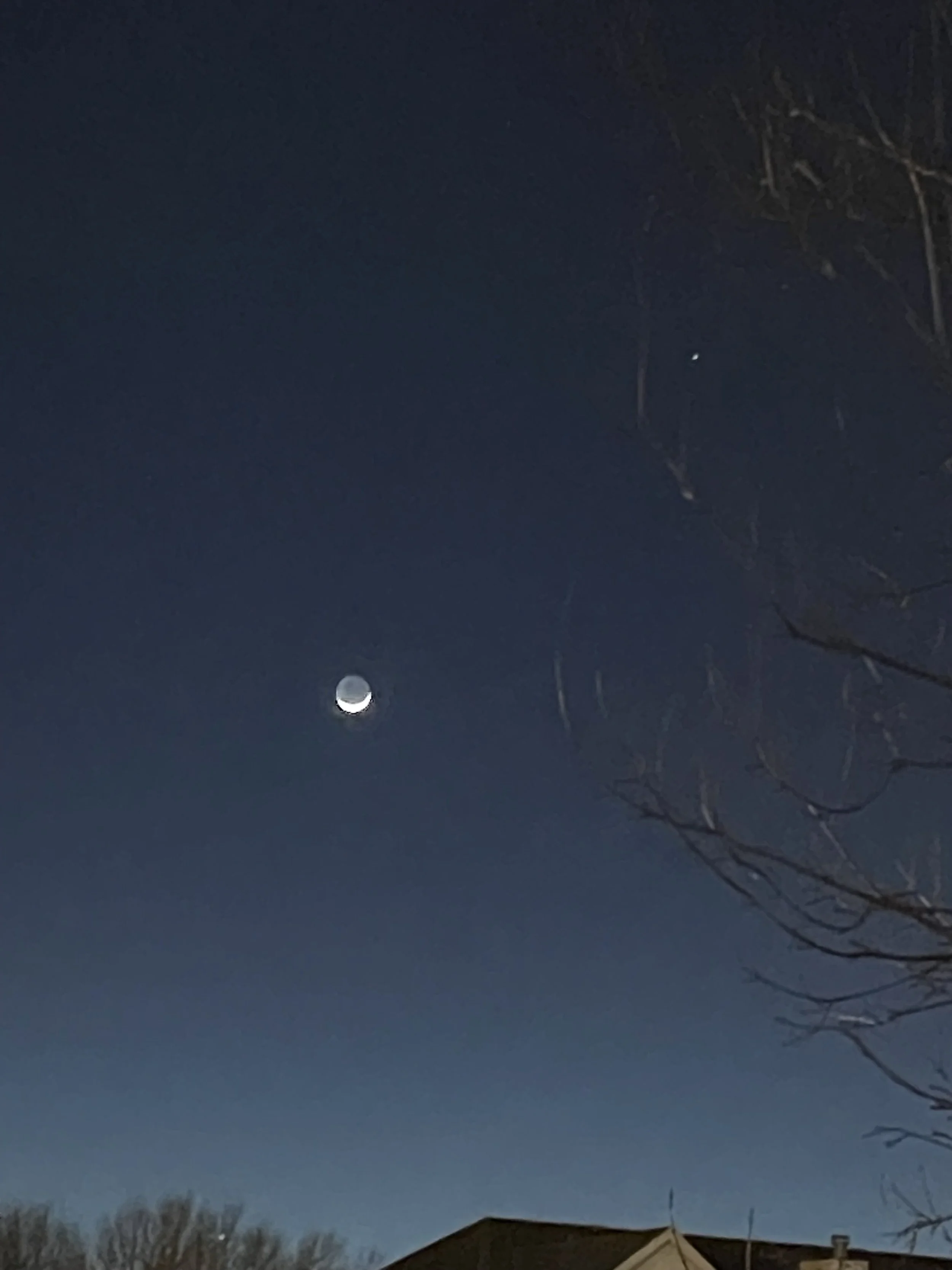 Dark night sky with moon near half phase with tree branches near.