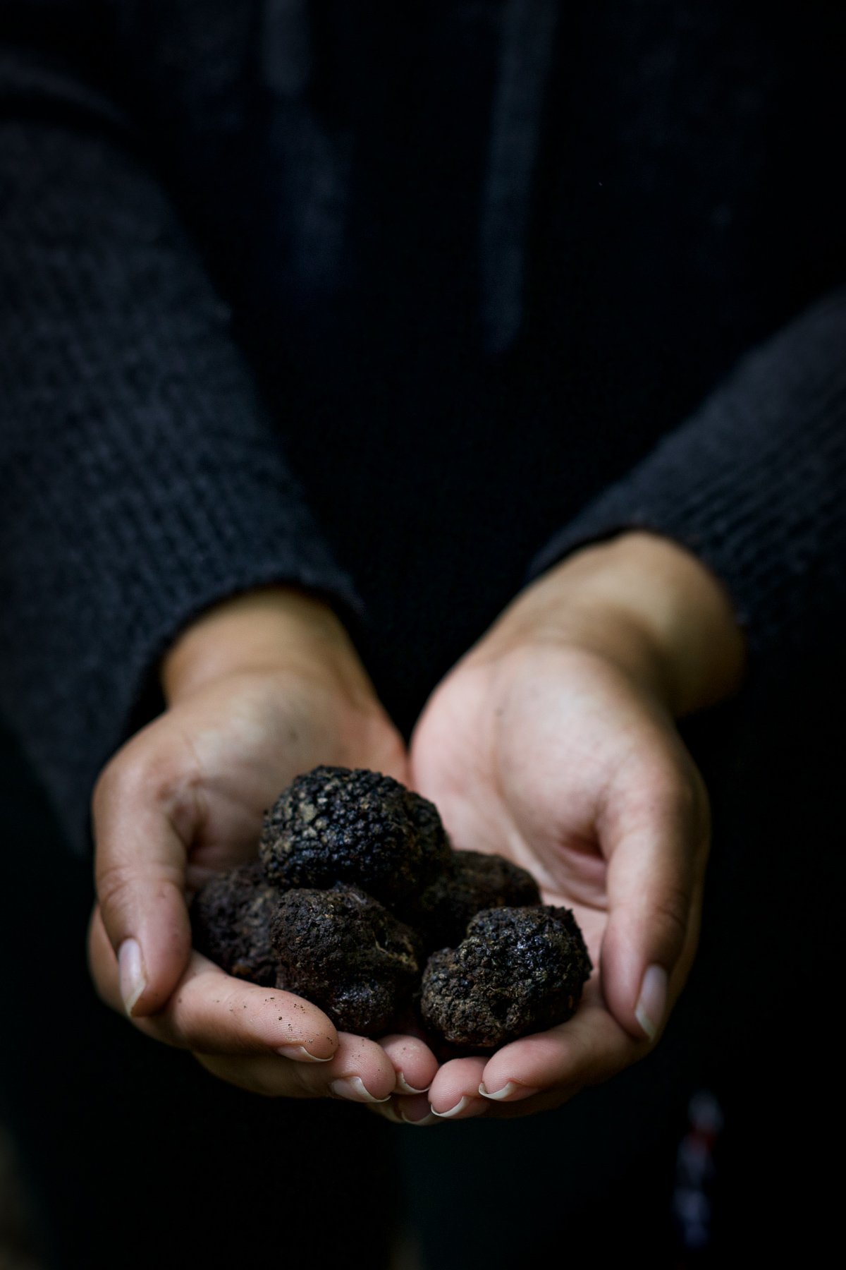 truffles in hand-1.jpg