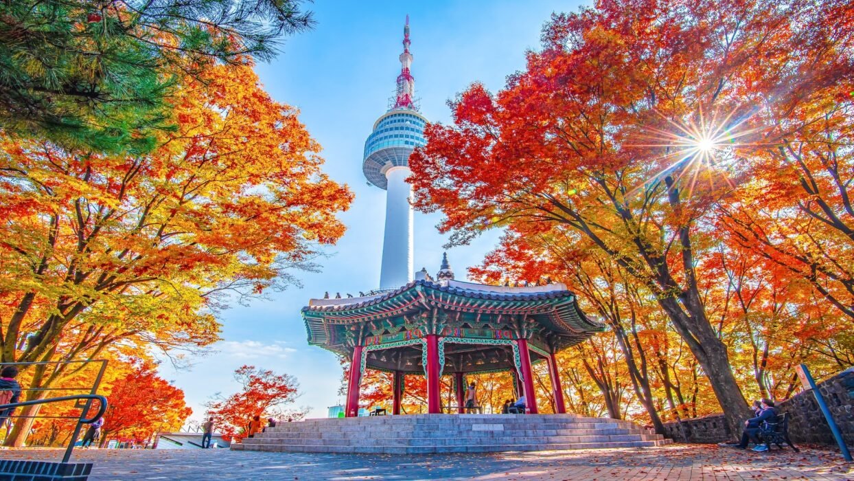 South Korea’s Aging Population Fuels Professional End-of-Life &amp; Unattended Death Services