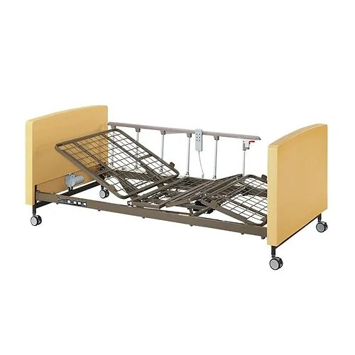 Joson-Care EN-2M Home care electric bed 4 motors.jpeg