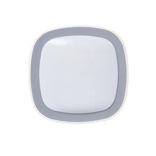 Regulus-Rapid! Motion Sensor MTN-H173A (ZigBee).jpeg