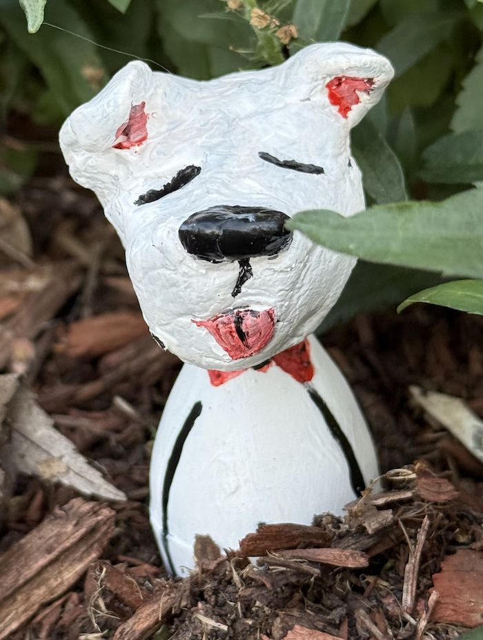 Hi, My Name, is Jack
(0ther names I have answered to Jackyboy, Jack-in-a-box, Jack-O-Lantern, Jackhammer and J-Dog)
I am a Dogo Argentino
I am a handsome dog if I don’t say myself. Who could not fall in love with my irresistible white, and smoo