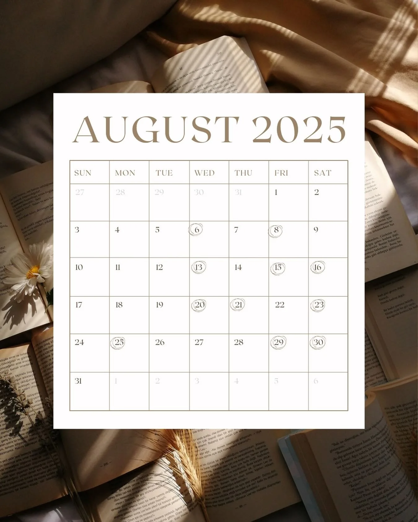 It&rsquo;s been a little quiet online here lately, but we&rsquo;ve been chatting it up in our Sessions! ⌨️ Our August 2025 calendar just went live - check out our website for the full list of dates and registration links. We&rsquo;d love to write wit