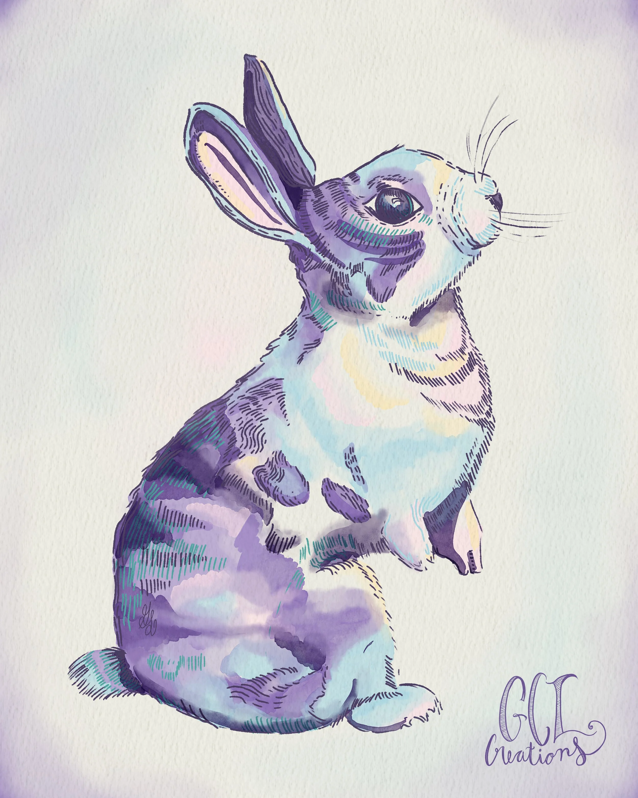 Cottontail