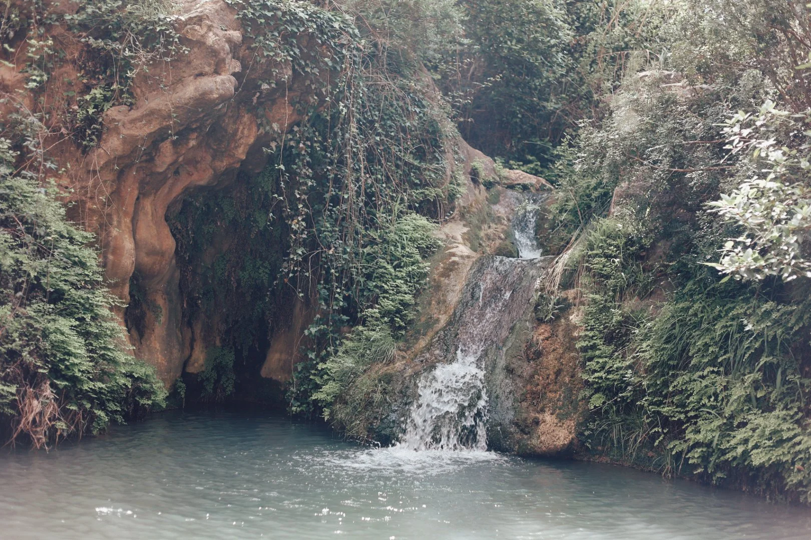image00162.jpeg