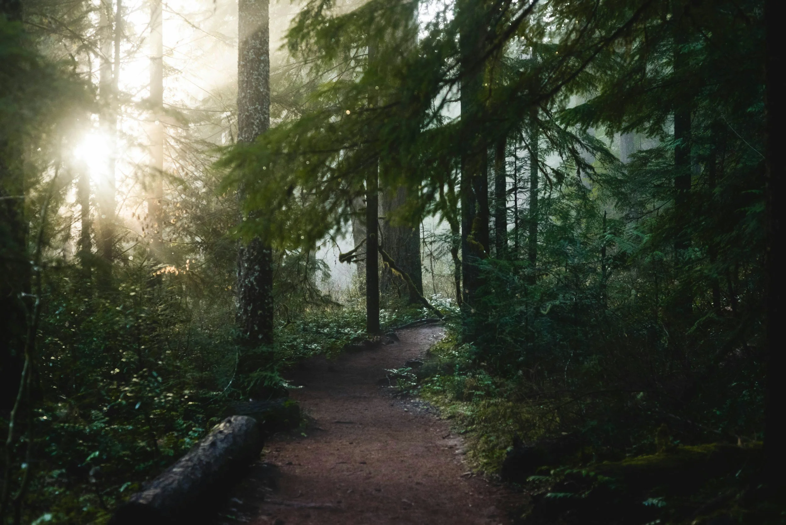 unsplash-image-8p8CmZ5b6iQ.jpg