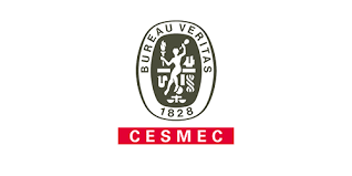 logo Cesmec.png
