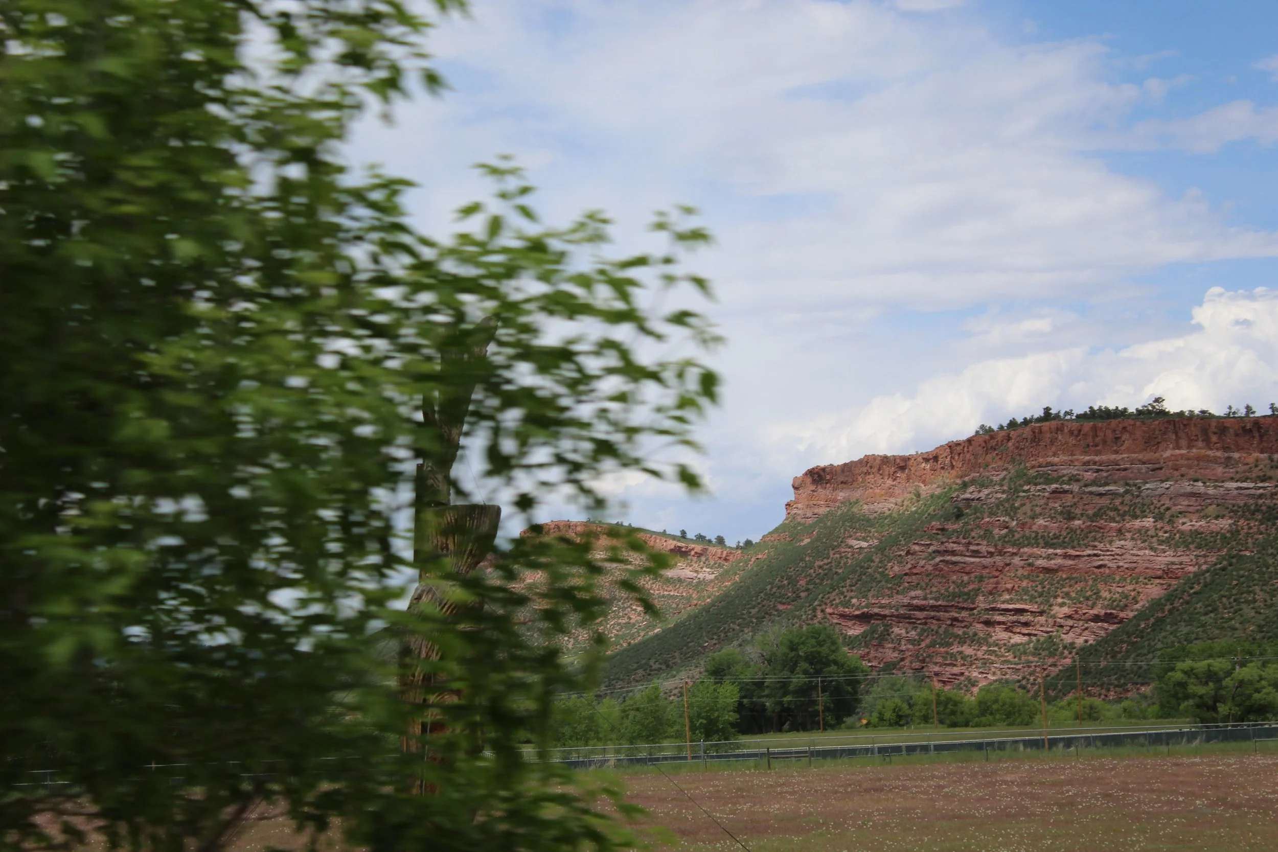 IMG_4930.jpeg