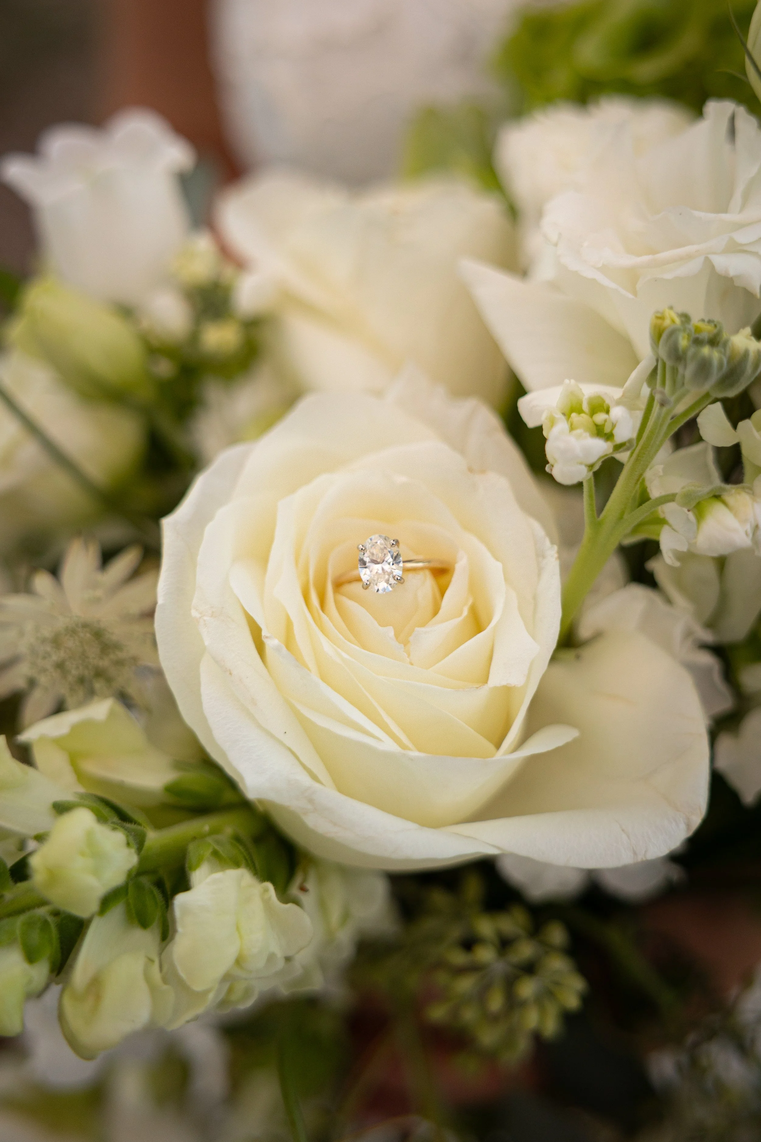 hannahlorainphoto-160 (1).jpg