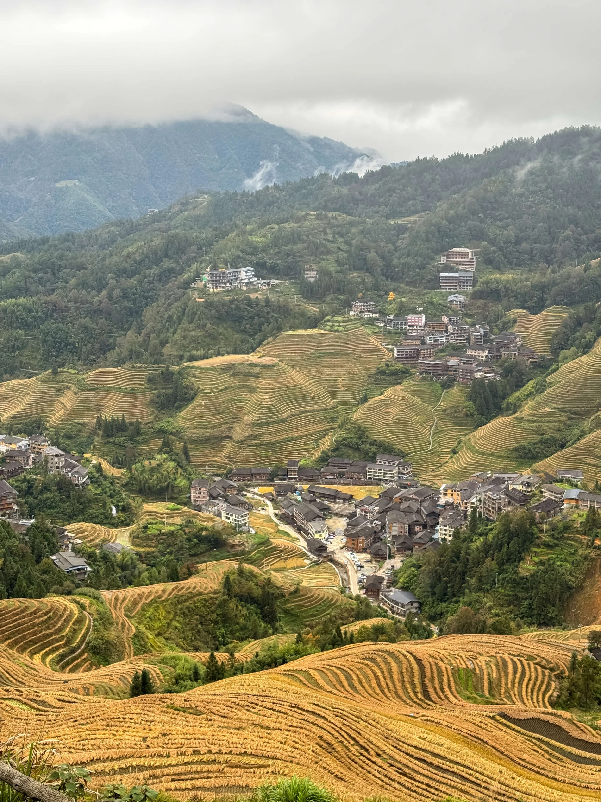 Longji Rice Terraces 龙脊梯田