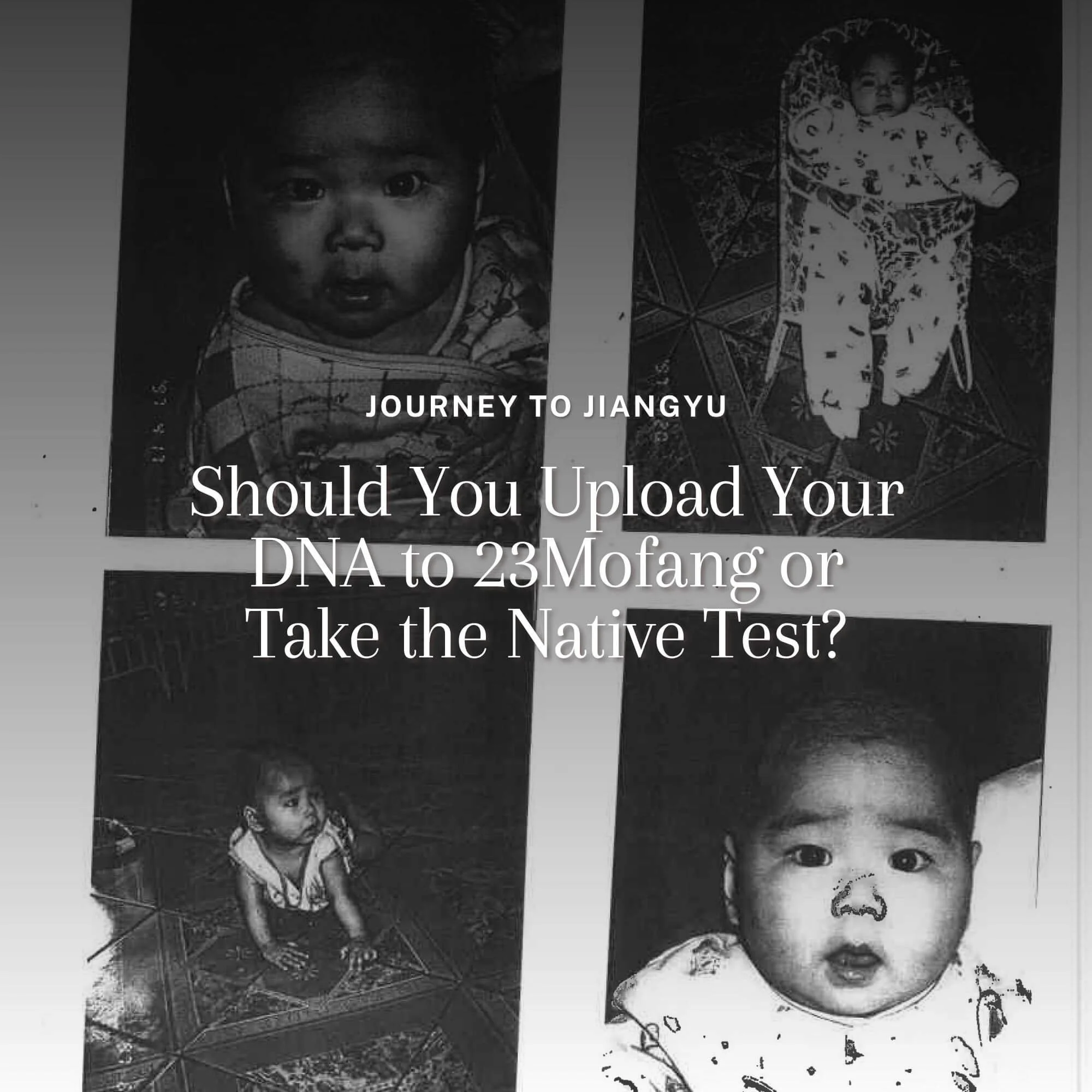 Should You Upload Your DNA to 23Mofang or Take the Native Test?