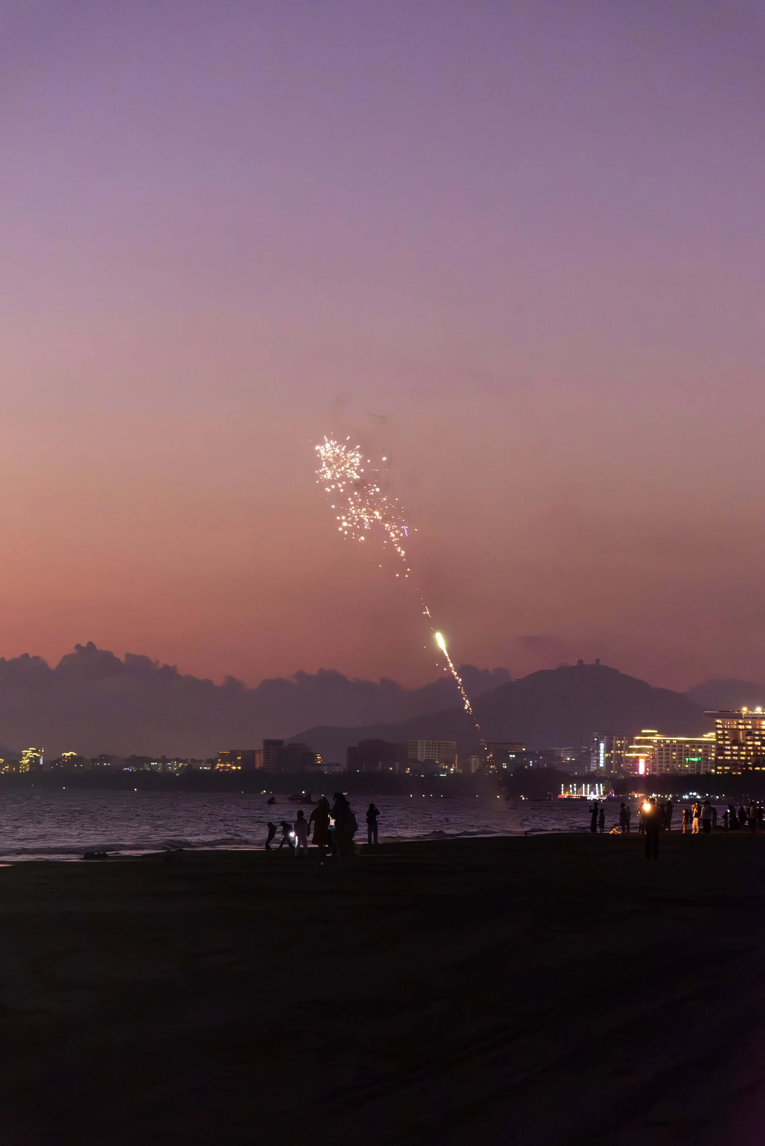 TINY-2025 Jan-Sanya-.jpg