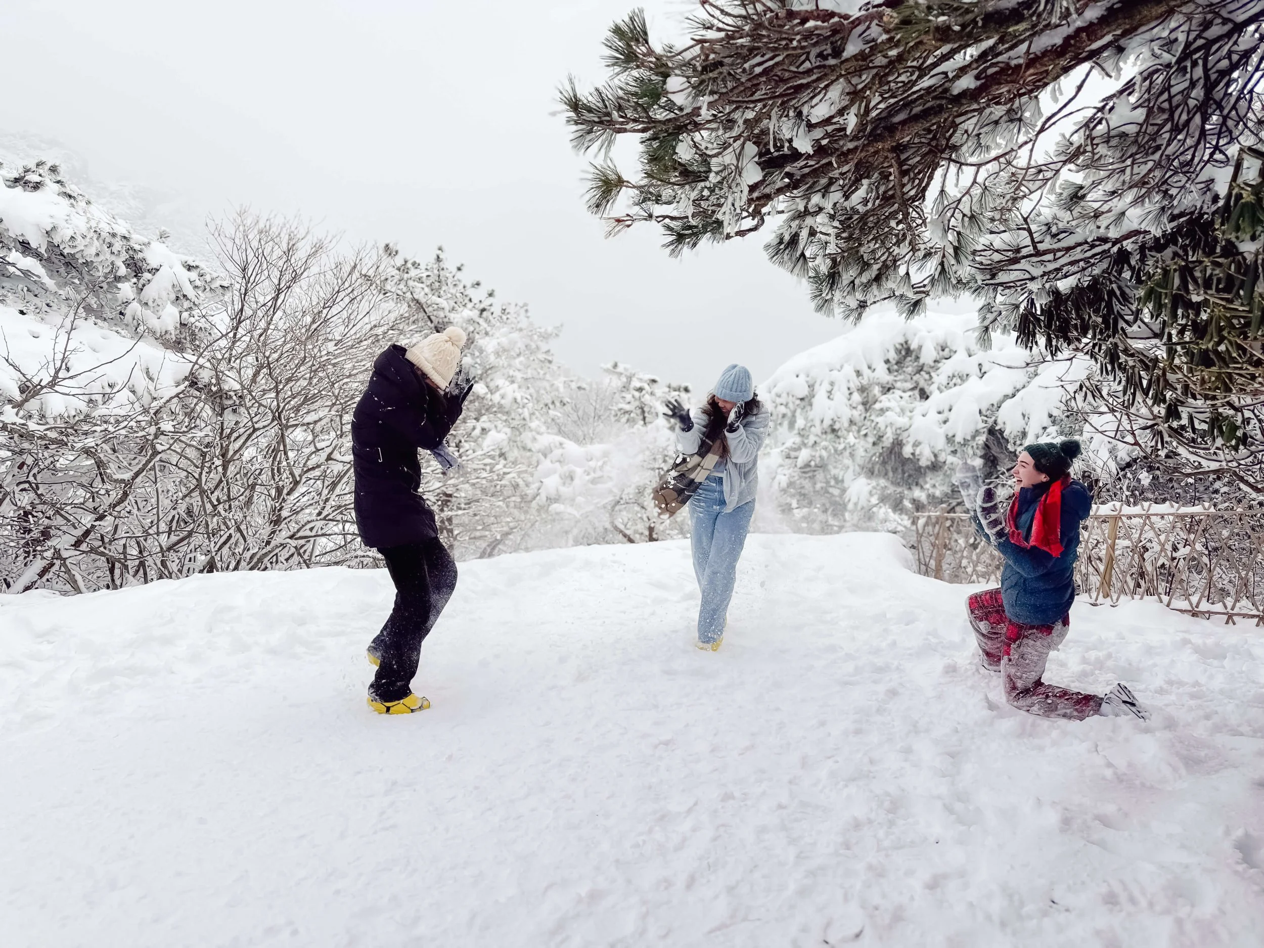 TINY-2025 Feb-Huangshan--10.jpg