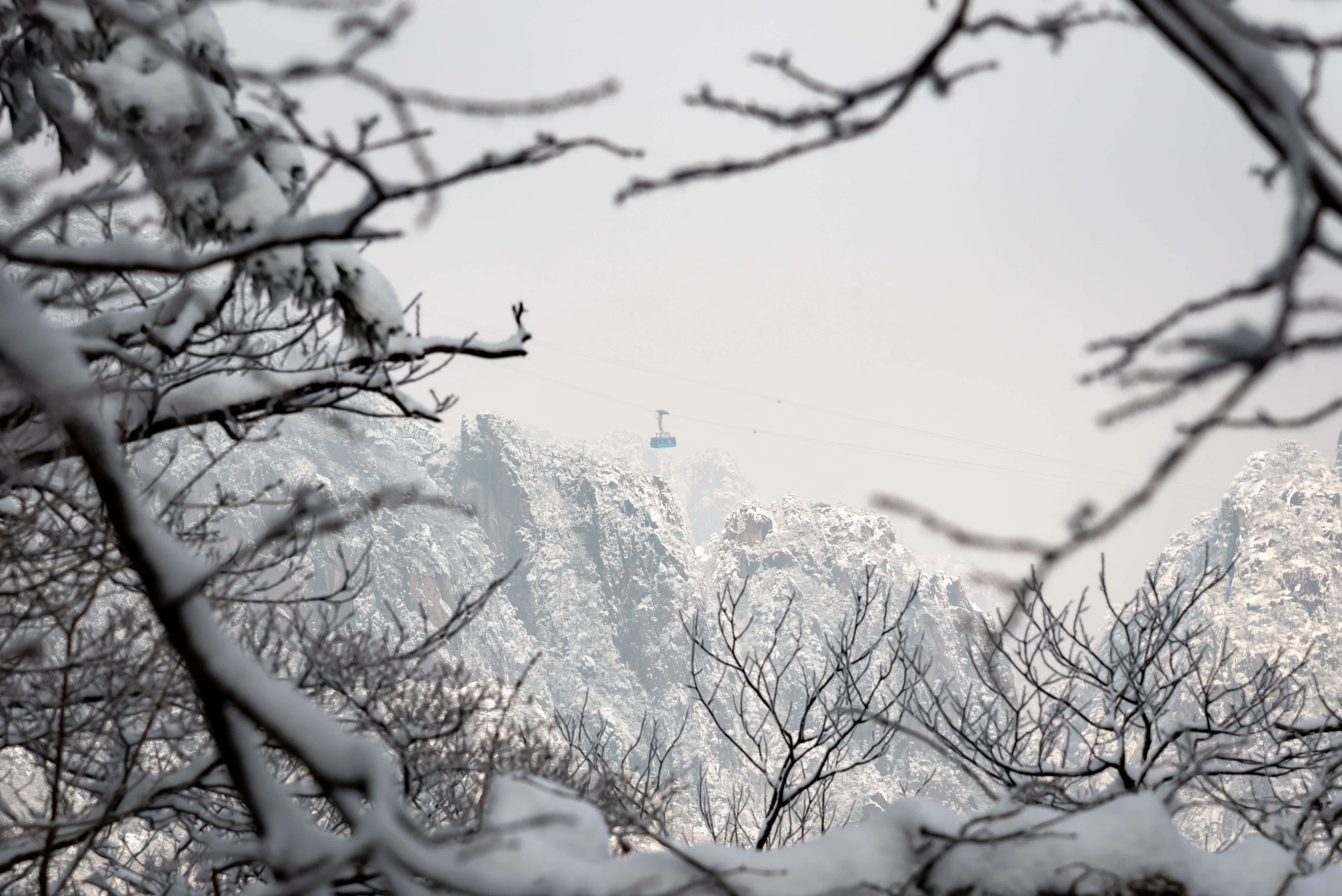 TINY-2025 Feb-Huangshan-1447.jpg