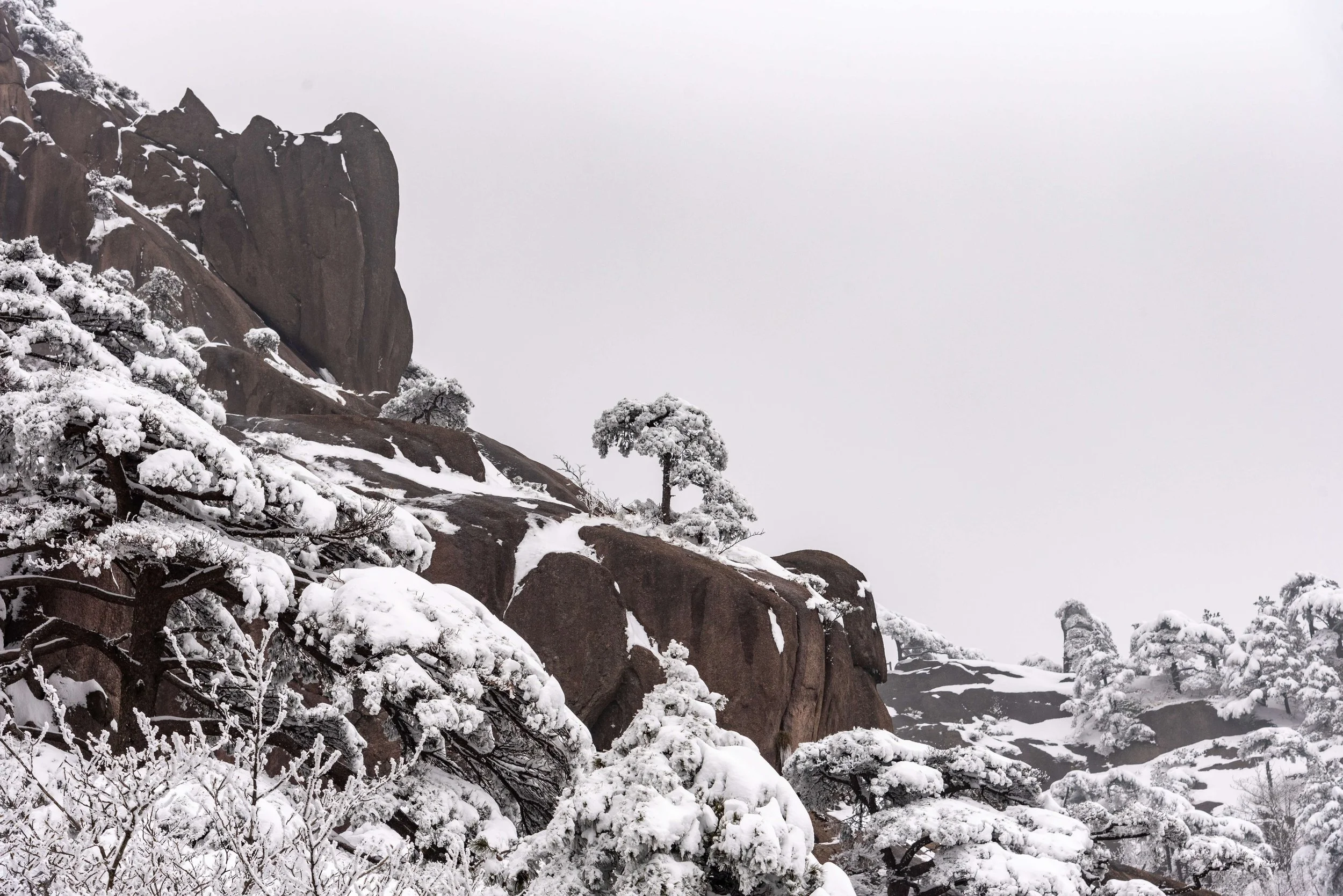 TINY-2025 Feb-Huangshan-2145.jpg