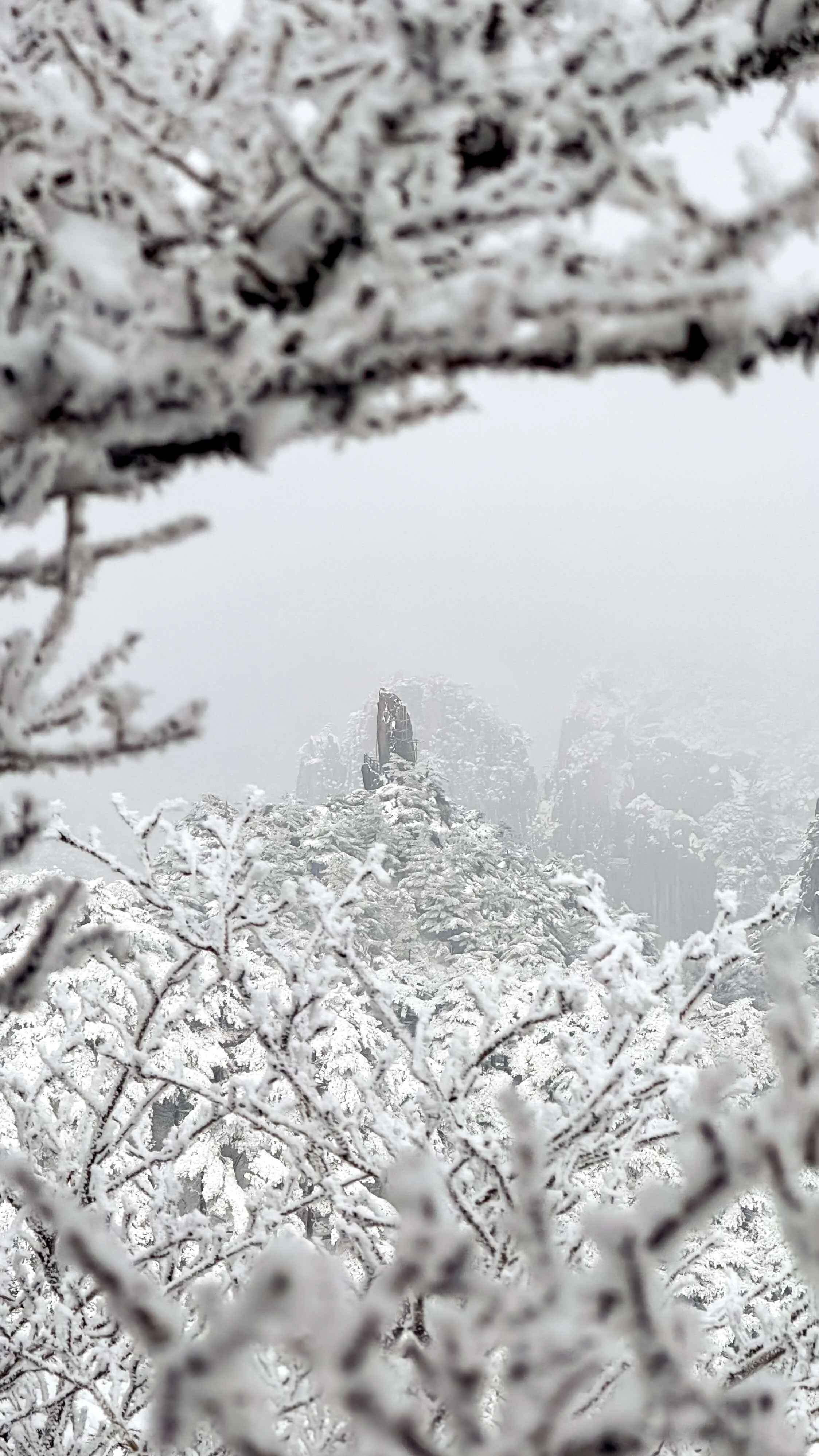 TINY-2025 Feb-Huangshan-2992.jpg