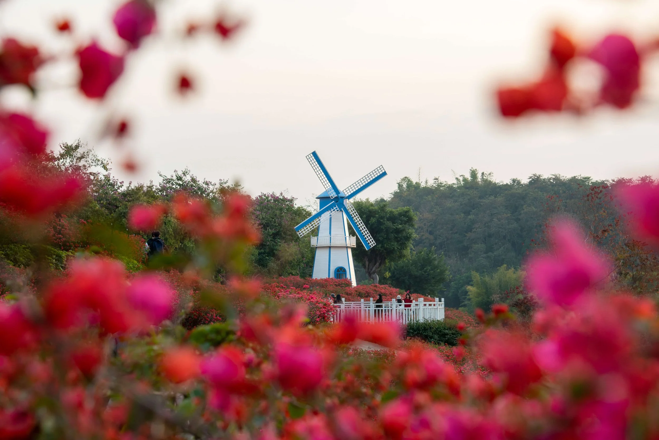 TINY-2025 Jan-Nanning-9707.jpg