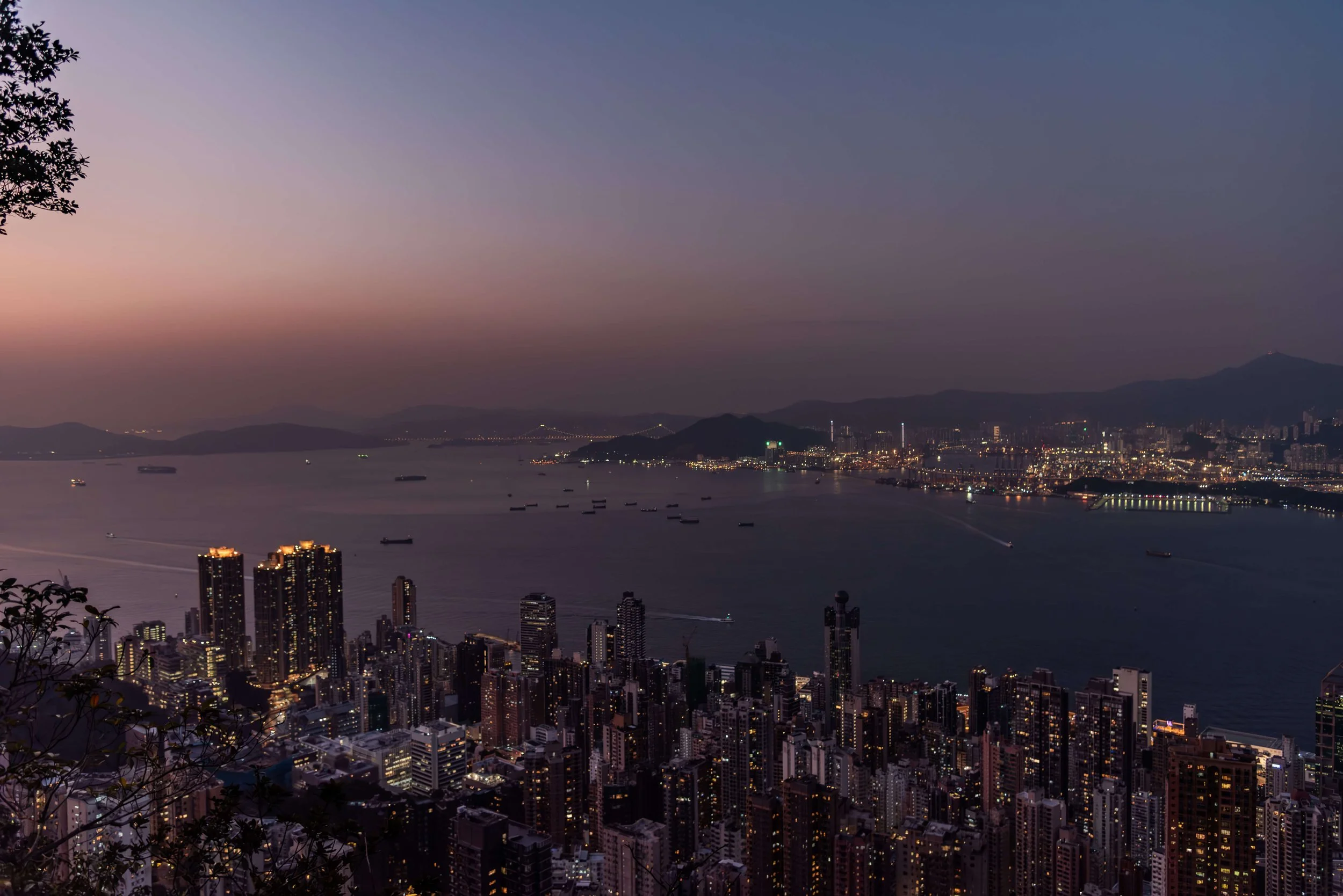 TINY-2025 Jan-Hong Kong-8625.jpg