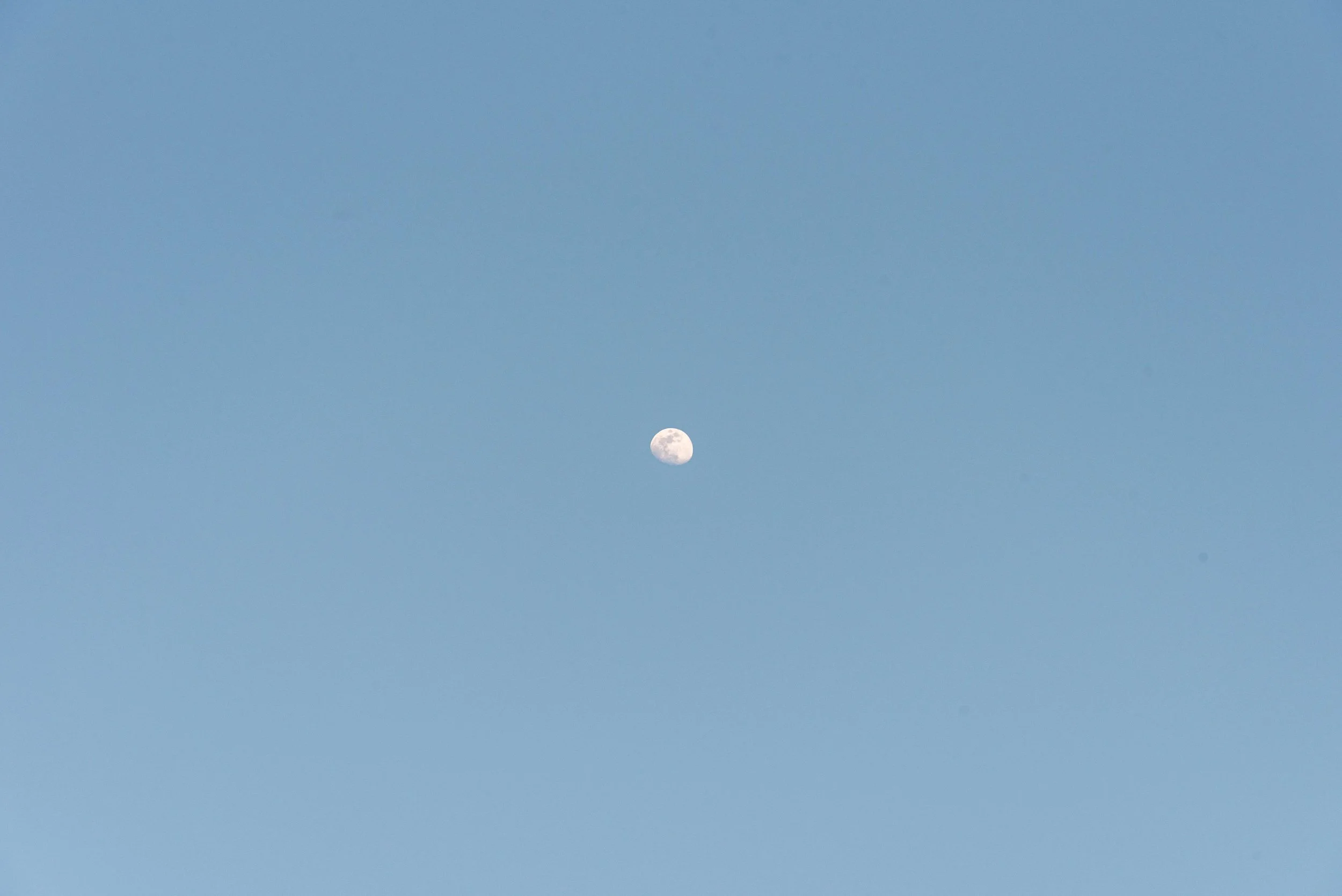 TINY-2025 Jan-Hong Kong-8504.jpg