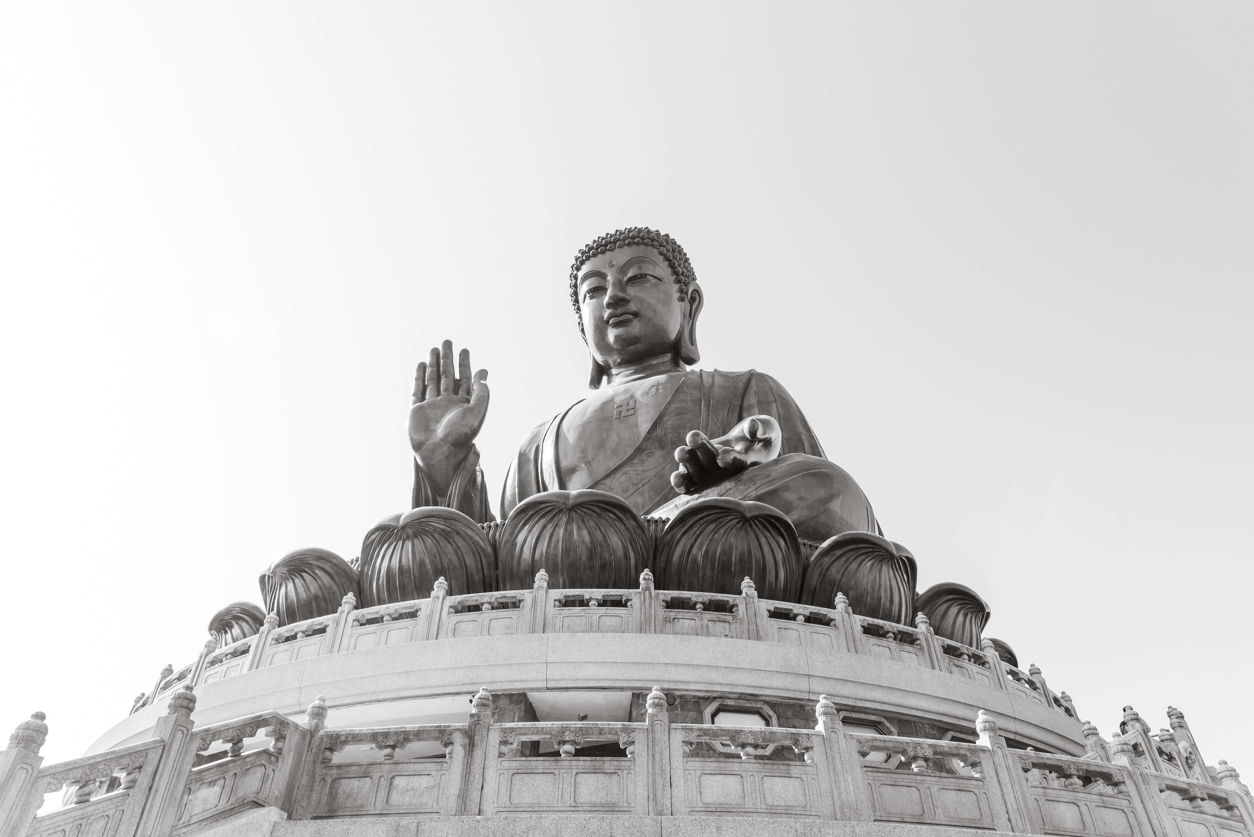 TINY-2025 Jan-Hong Kong-8714.jpg