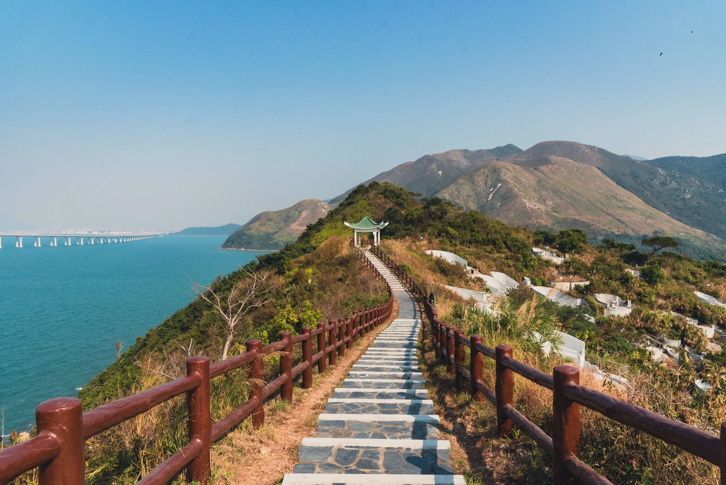 TINY-2025 Jan-Hong Kong-8809.jpg