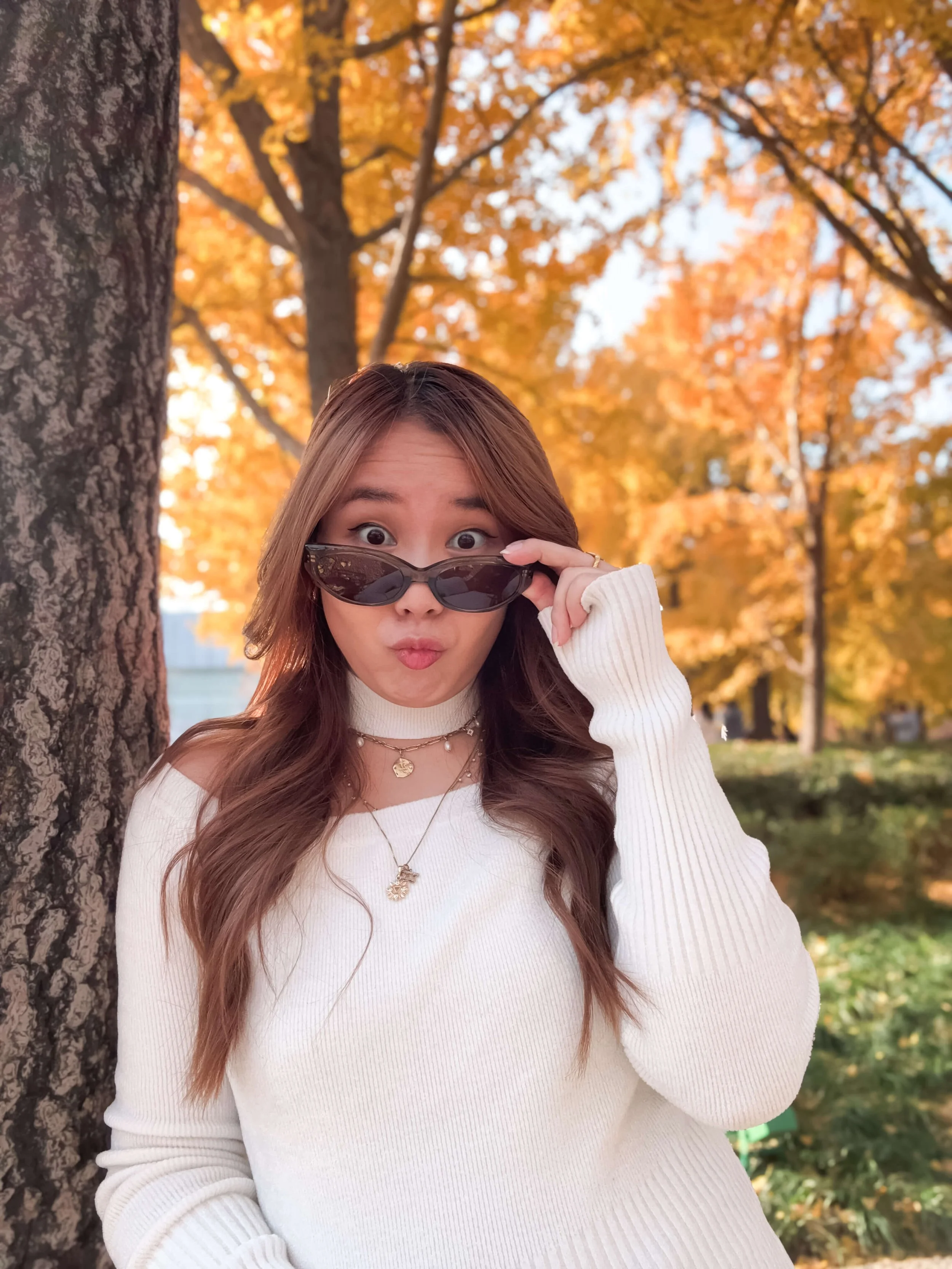 TINY-2025-12-Ginkgo Trees Final Edit--5.jpg