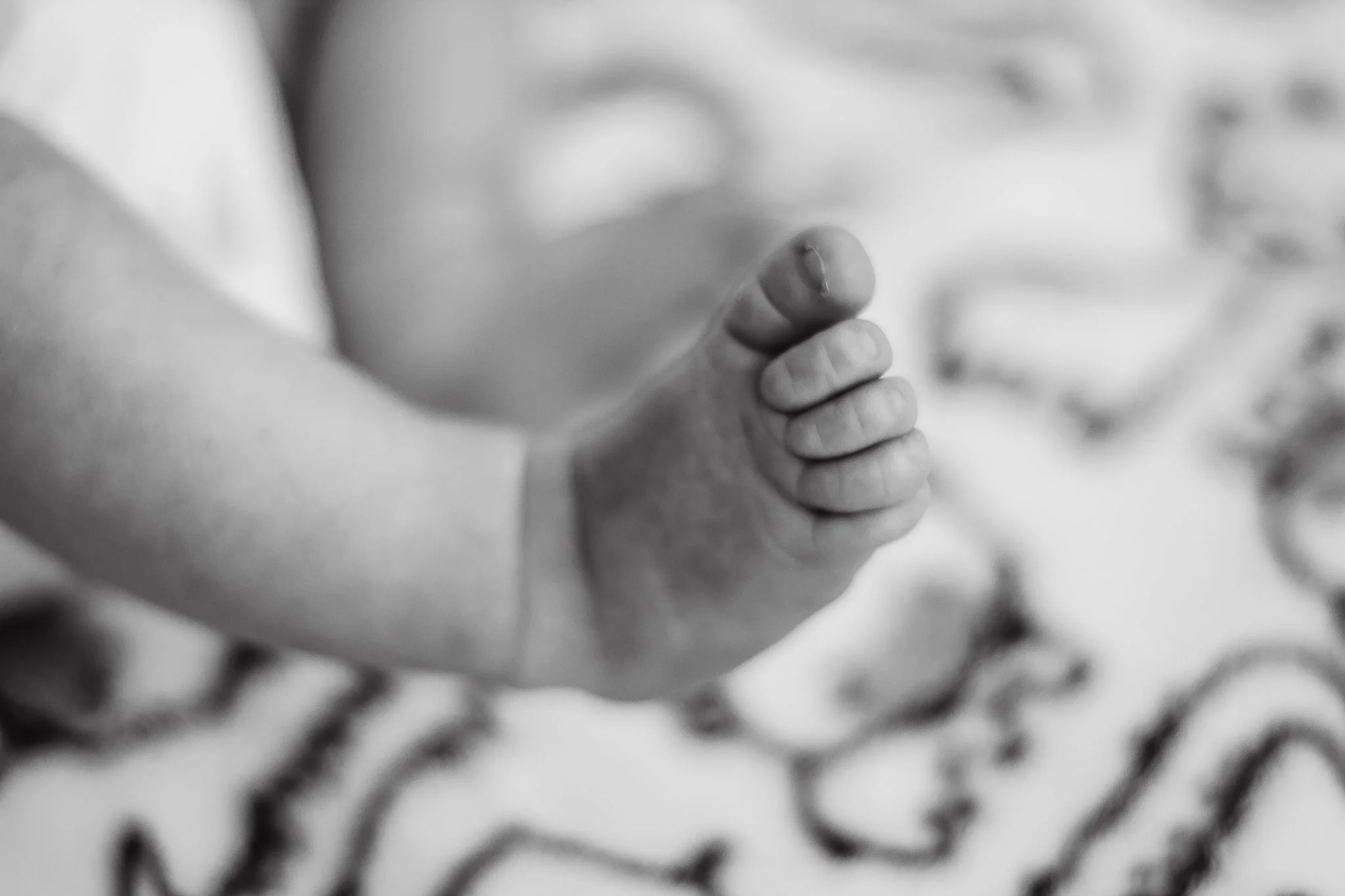 harper-lifestyle-newborn-037.jpg