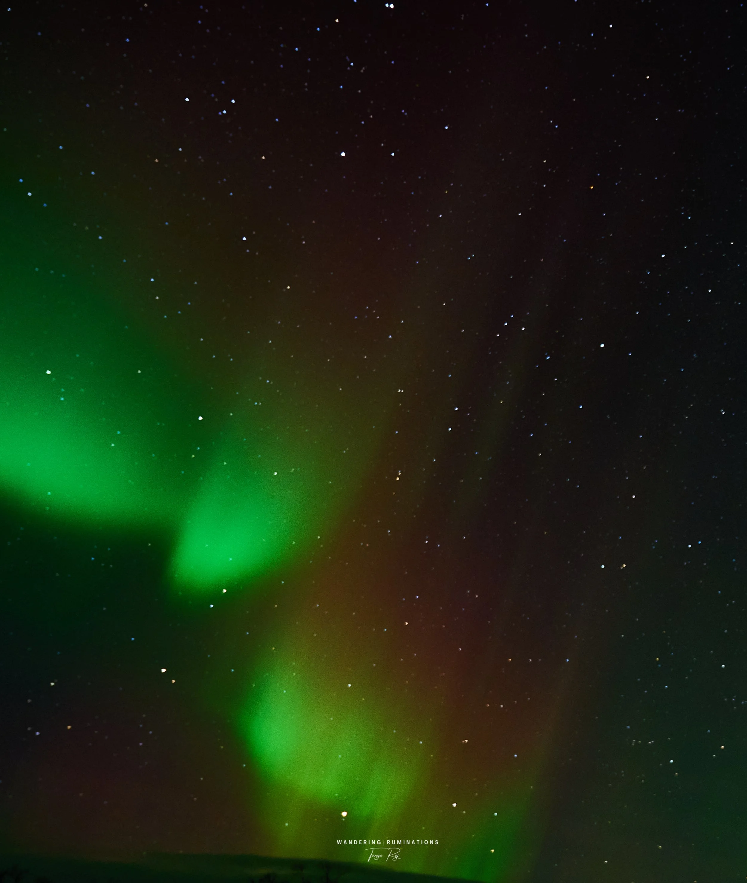DSC_1197.jpg