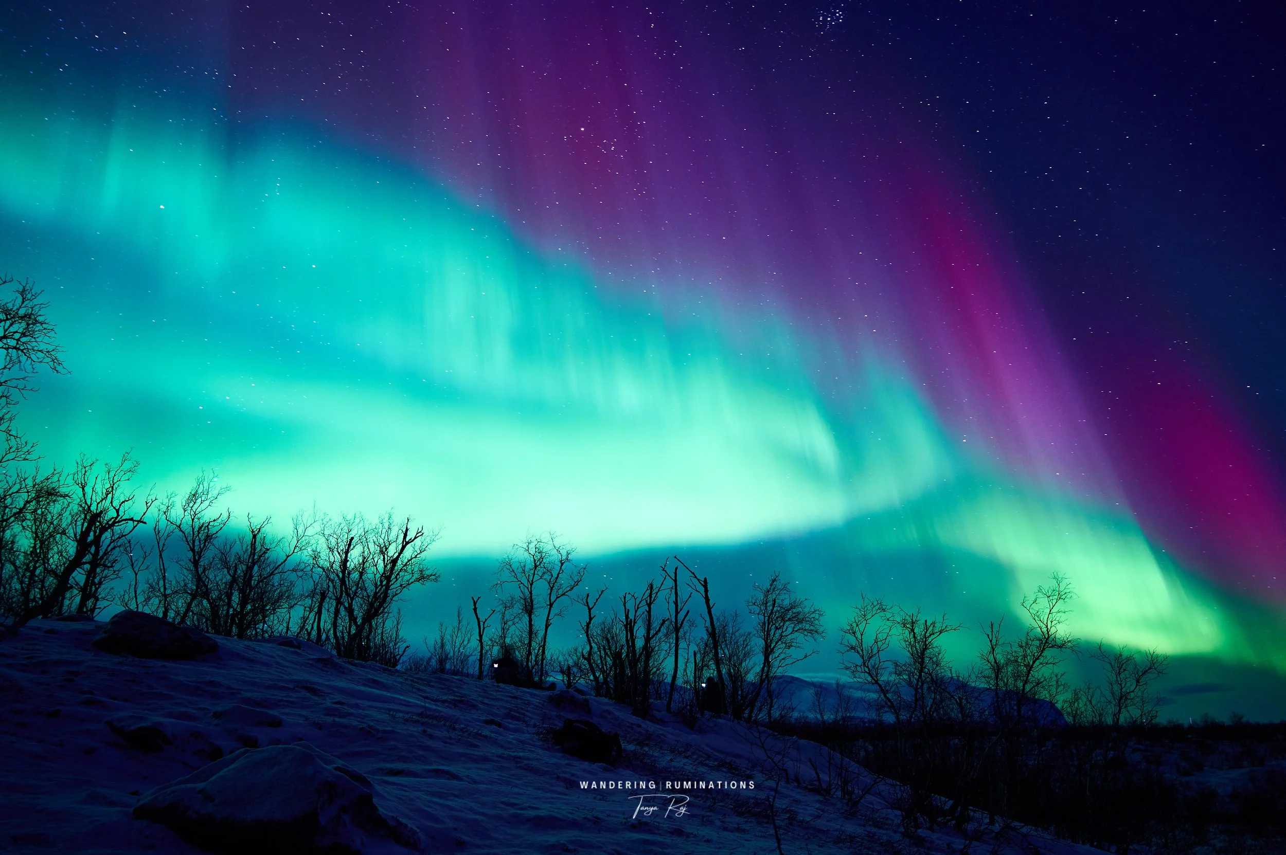 Aurora Borealis - Fox Fire of The Arctic