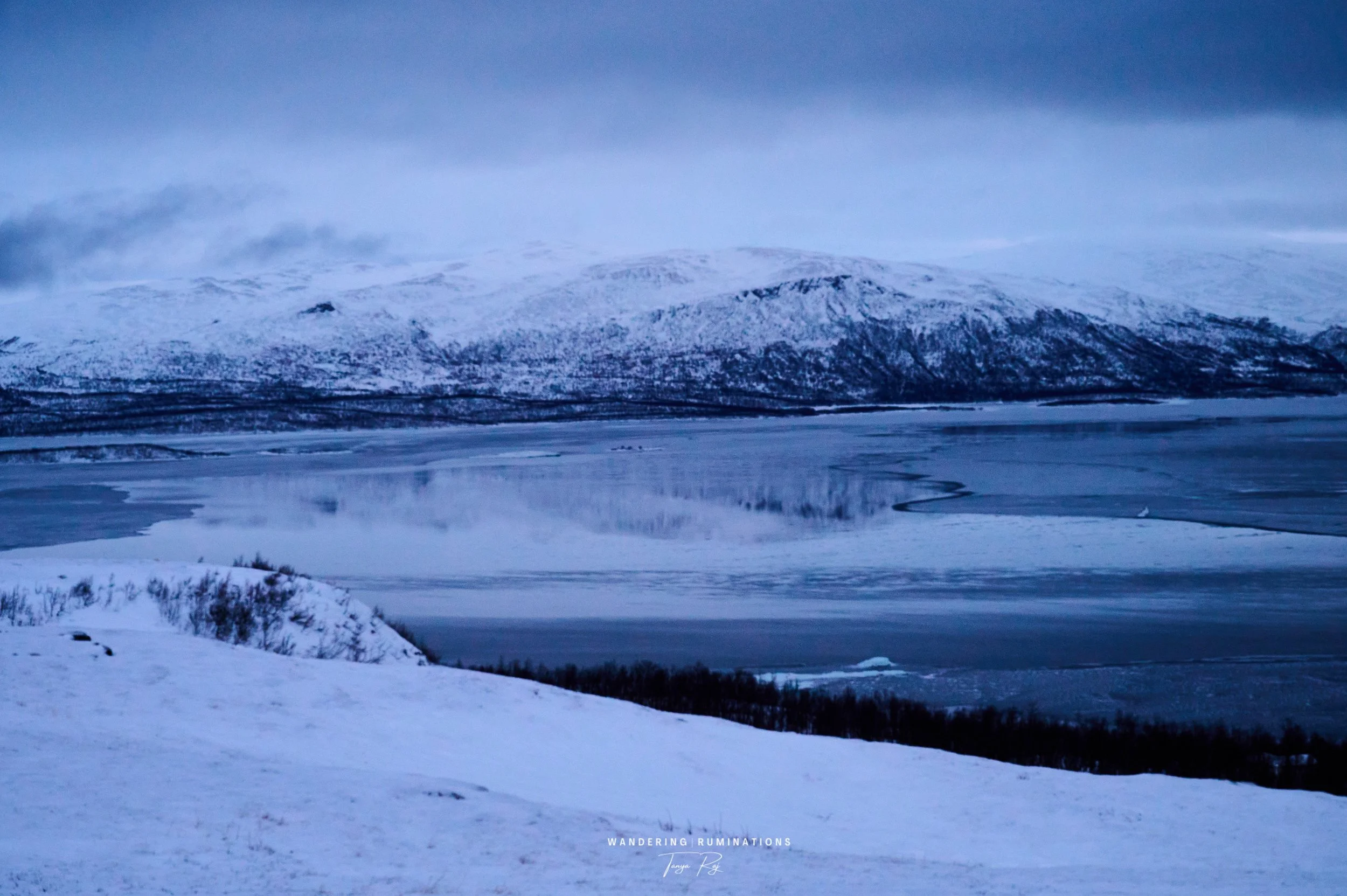 DSC_0991.jpg