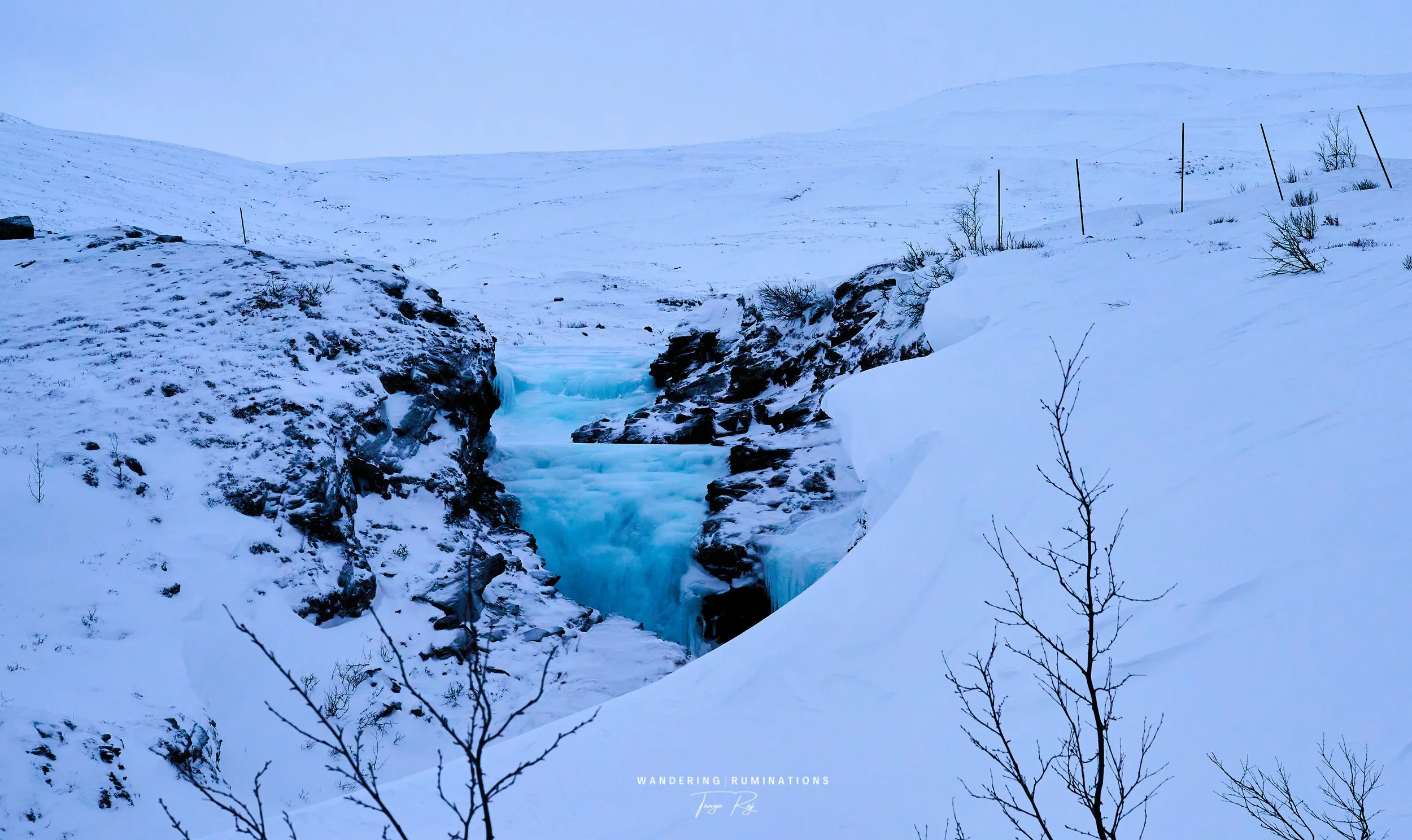 DSC_1016.jpg