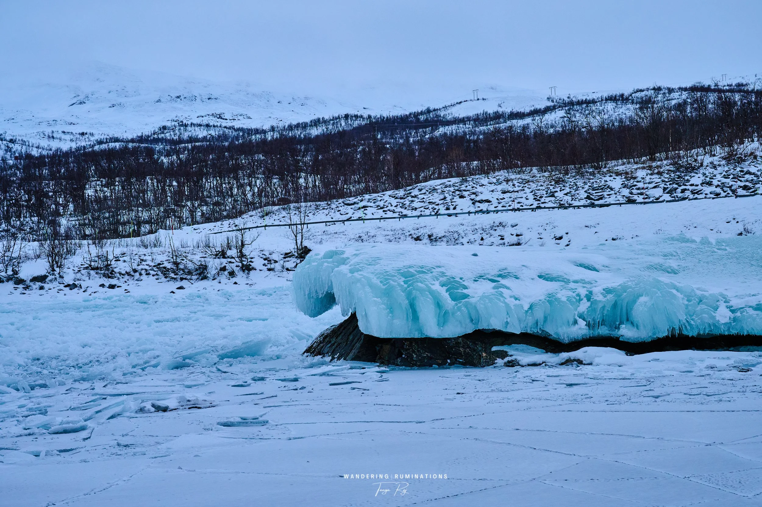 DSC_1065.jpg
