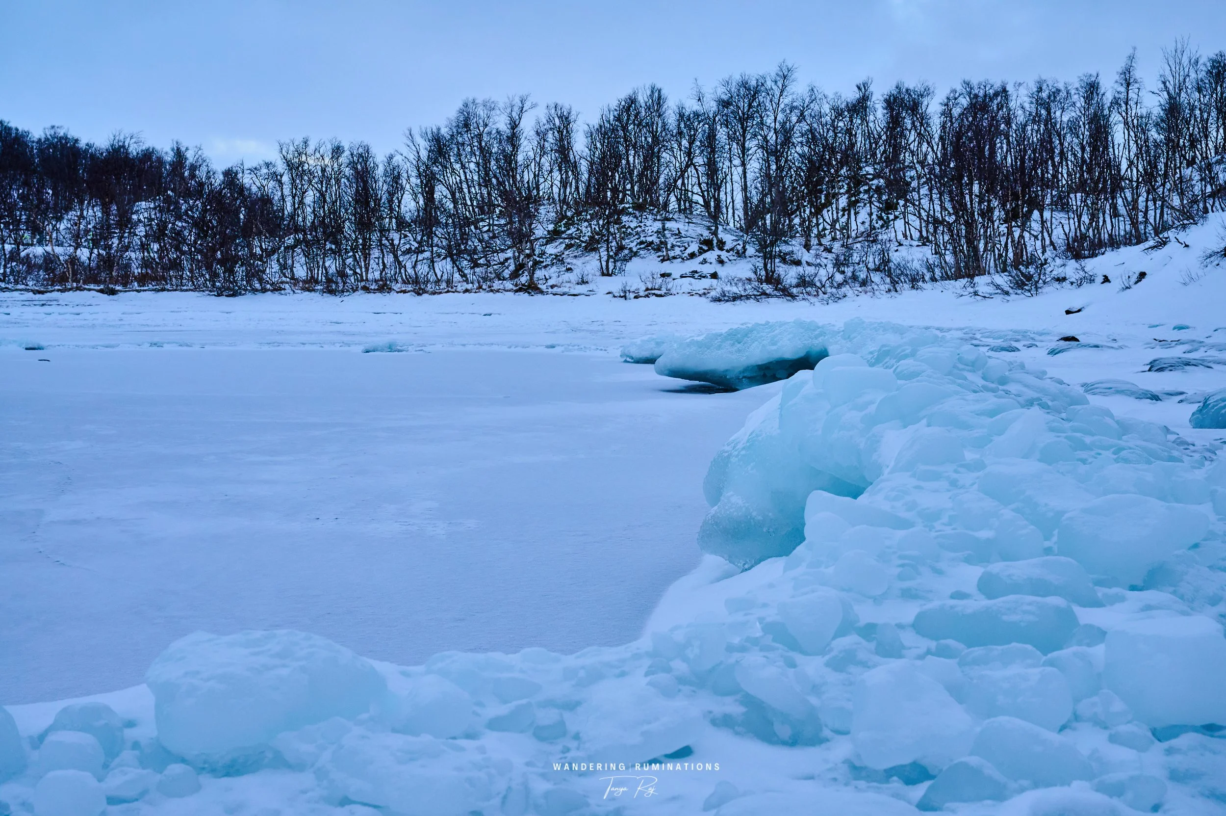 DSC_1066.jpg