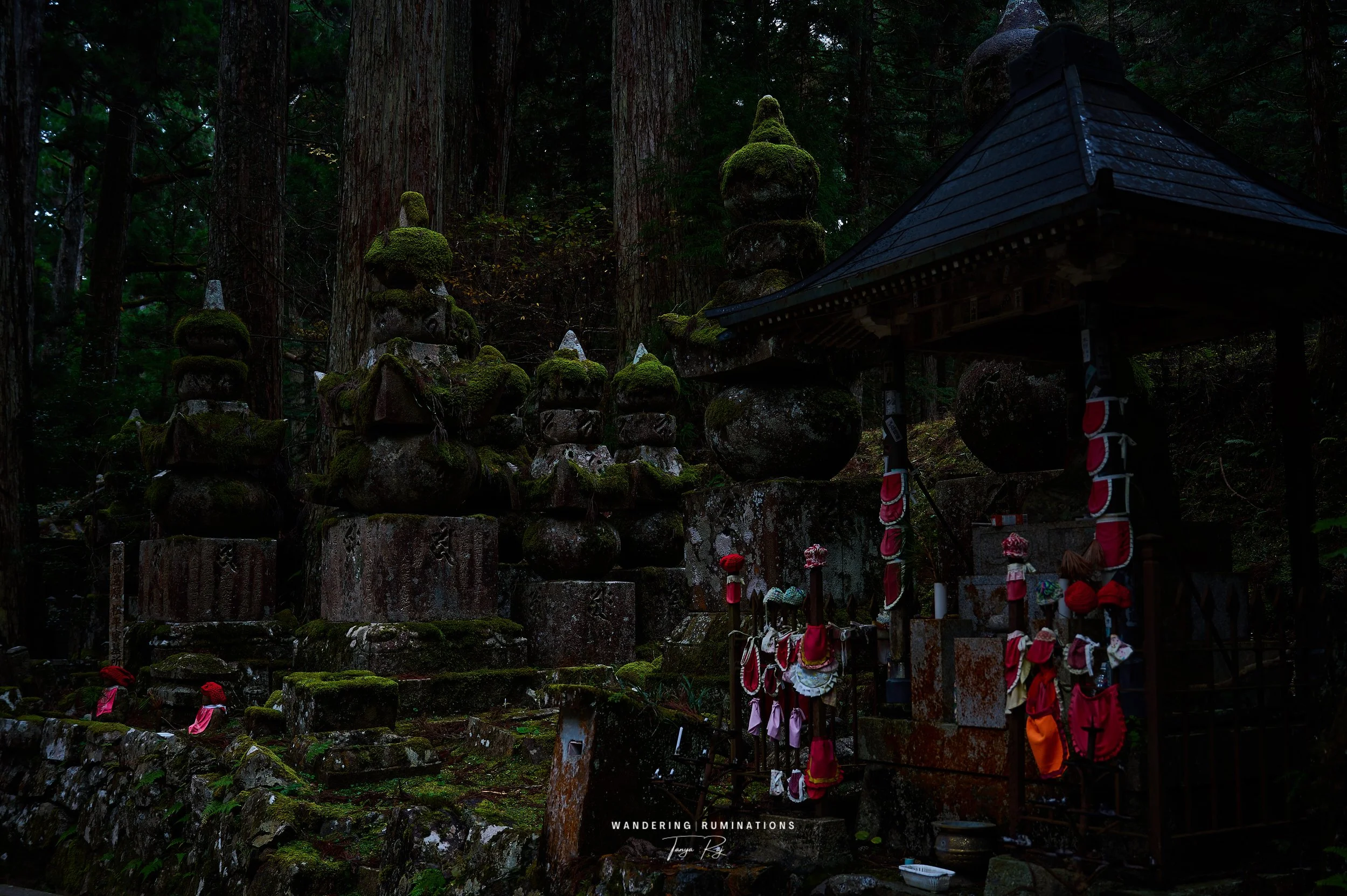 DSC_1866_2.jpg