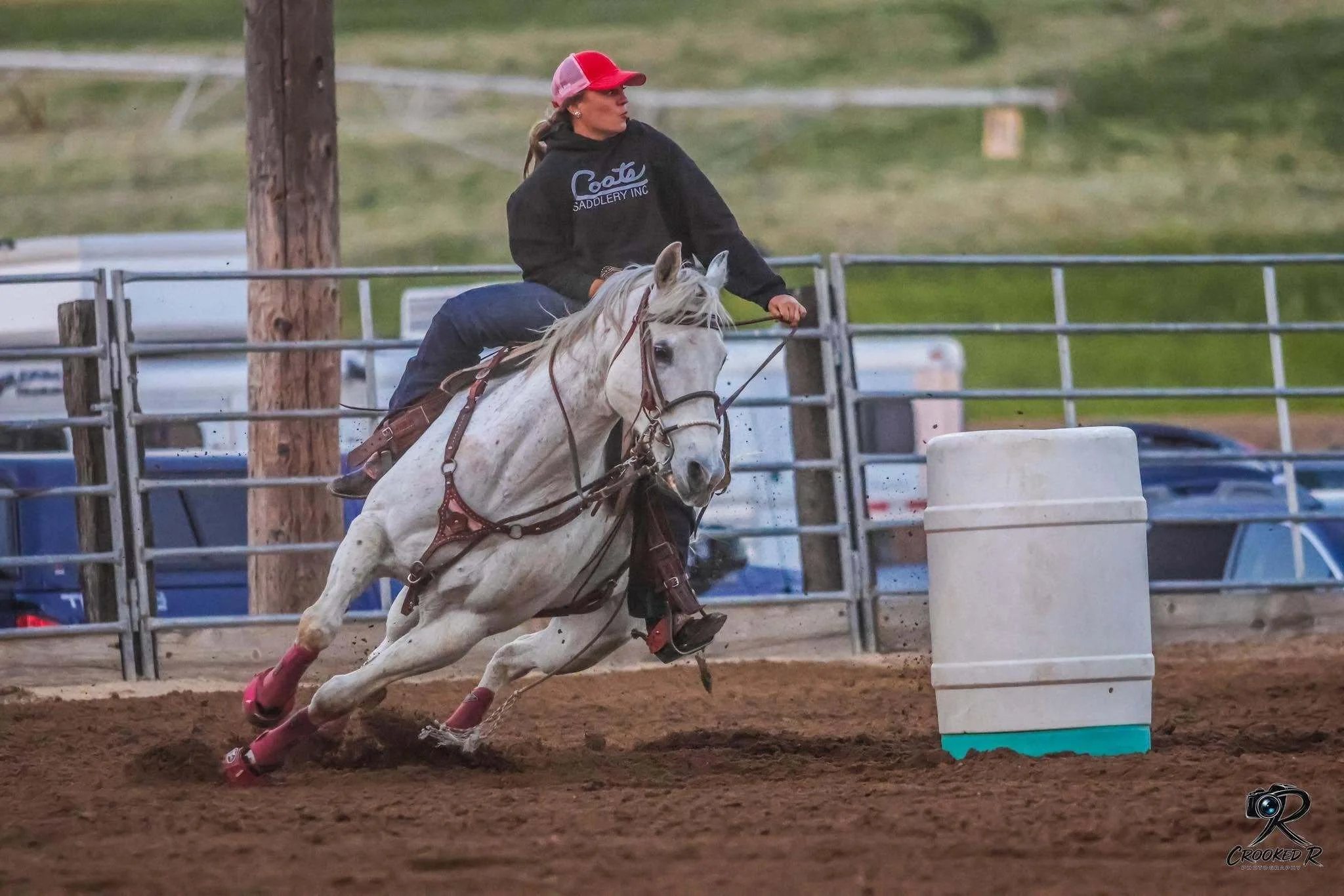 The Draw Horse Wild Card: How to Ride a Horse You've Never Met Before