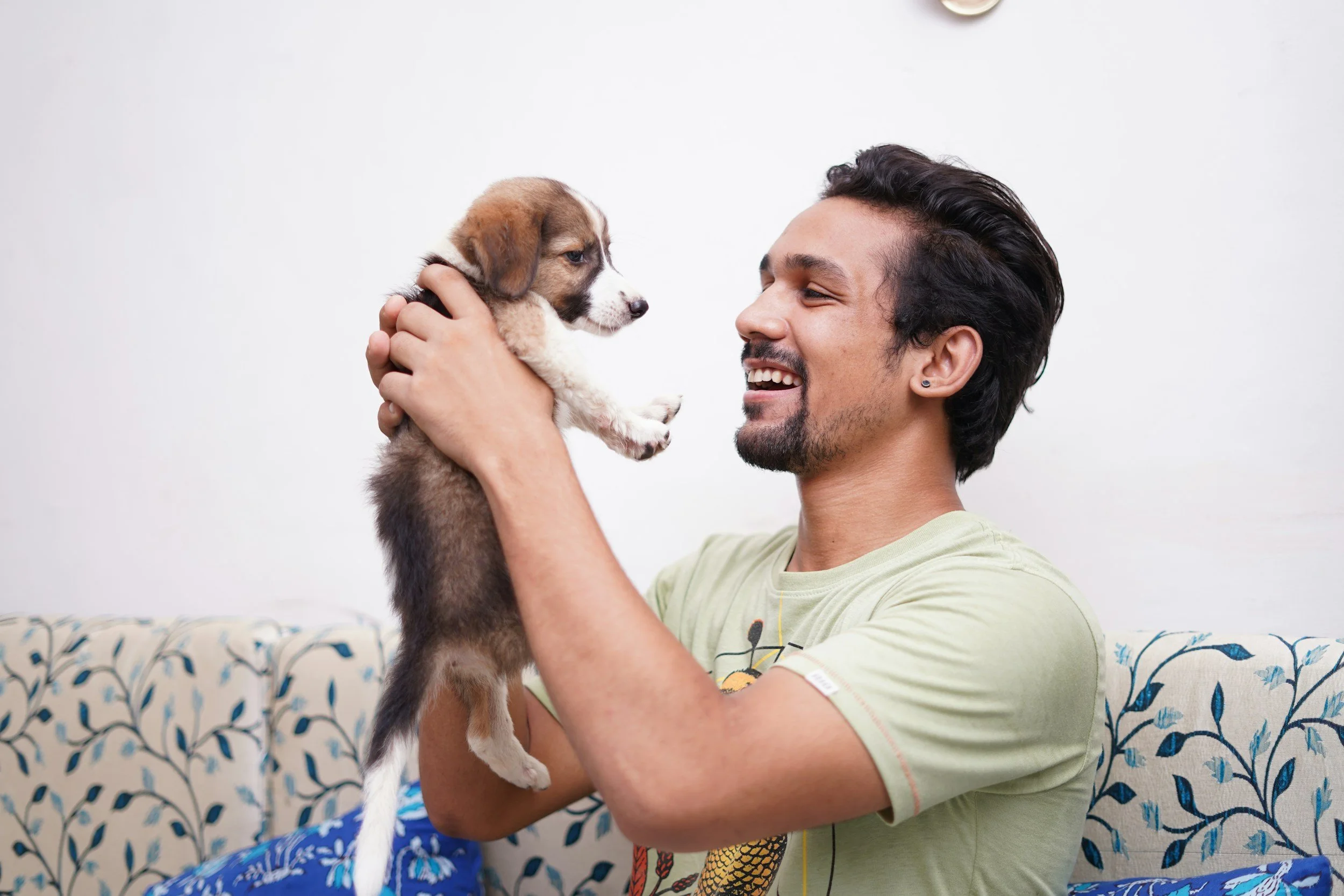 A man with dark hair, a beard, and earrings holding a small puppy with brown, white, and black fur, in a room with white walls and patterned furniture.