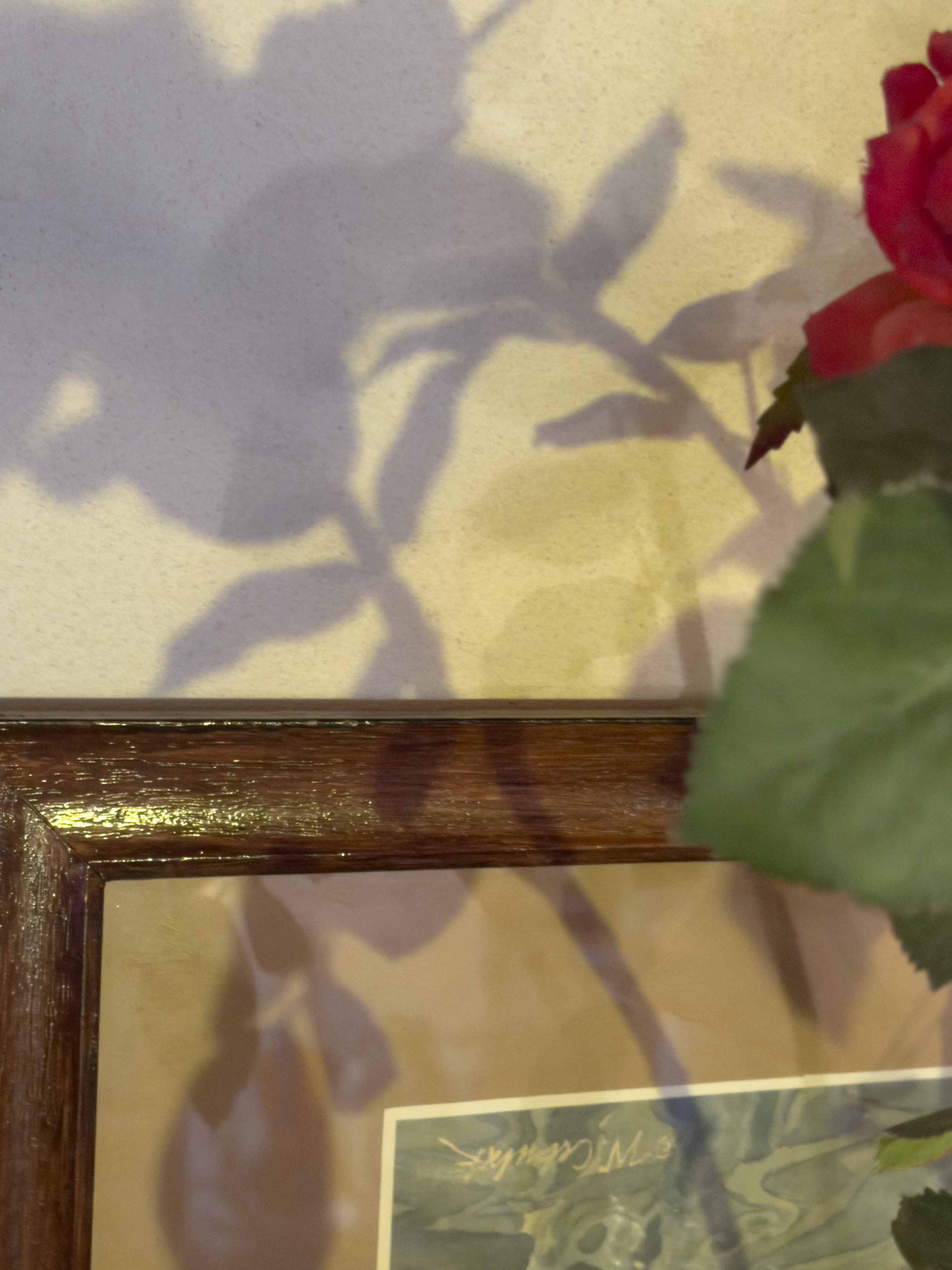 壁に描かれた花の影と、それにかかる木のフレームの影の写真