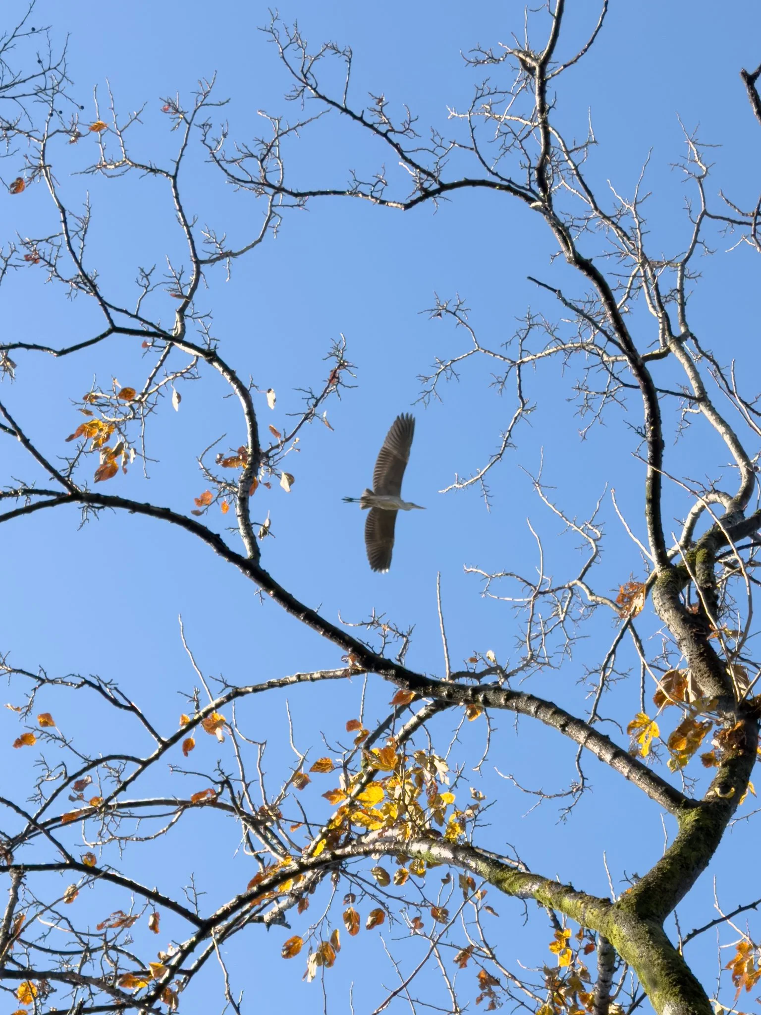 IMG_7198 コピー (1) コピー_SNS用.jpg