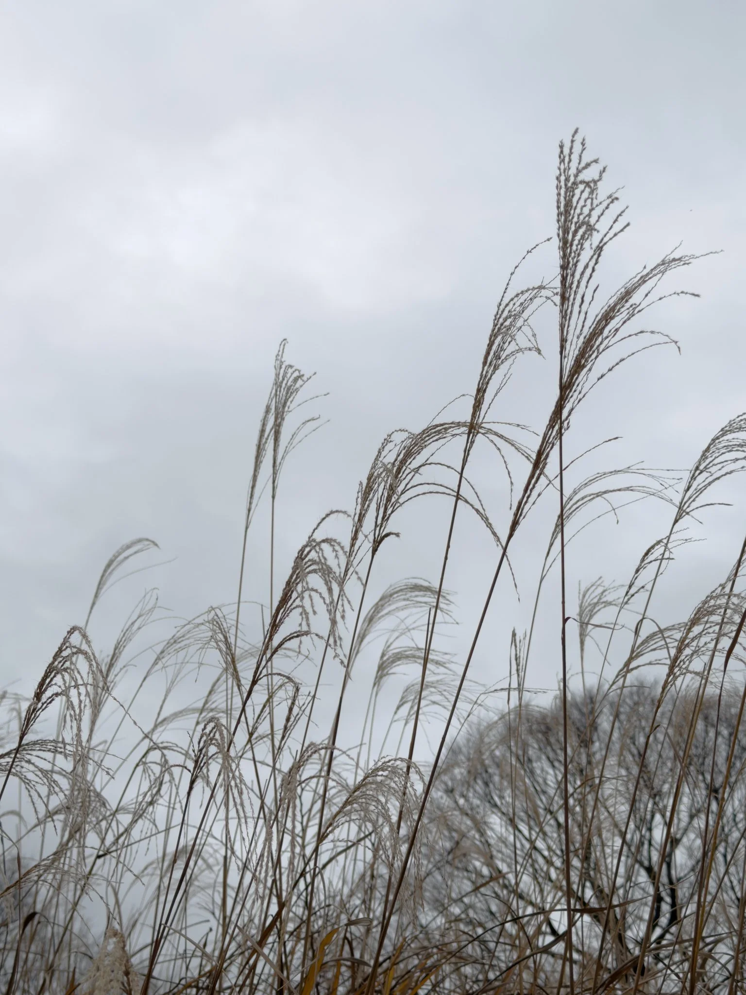 IMG_9458 コピー_SNS用.jpg